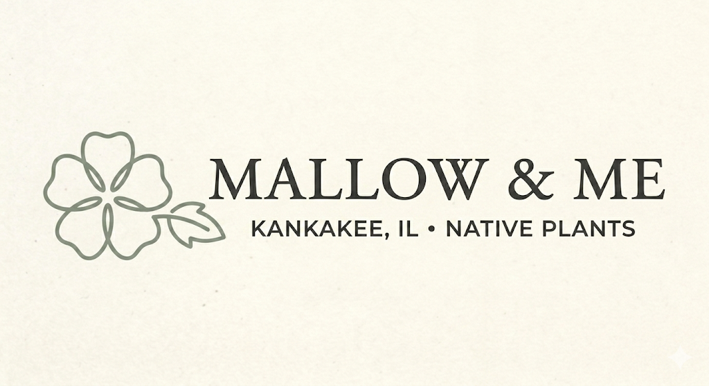 Mallow &amp; Me