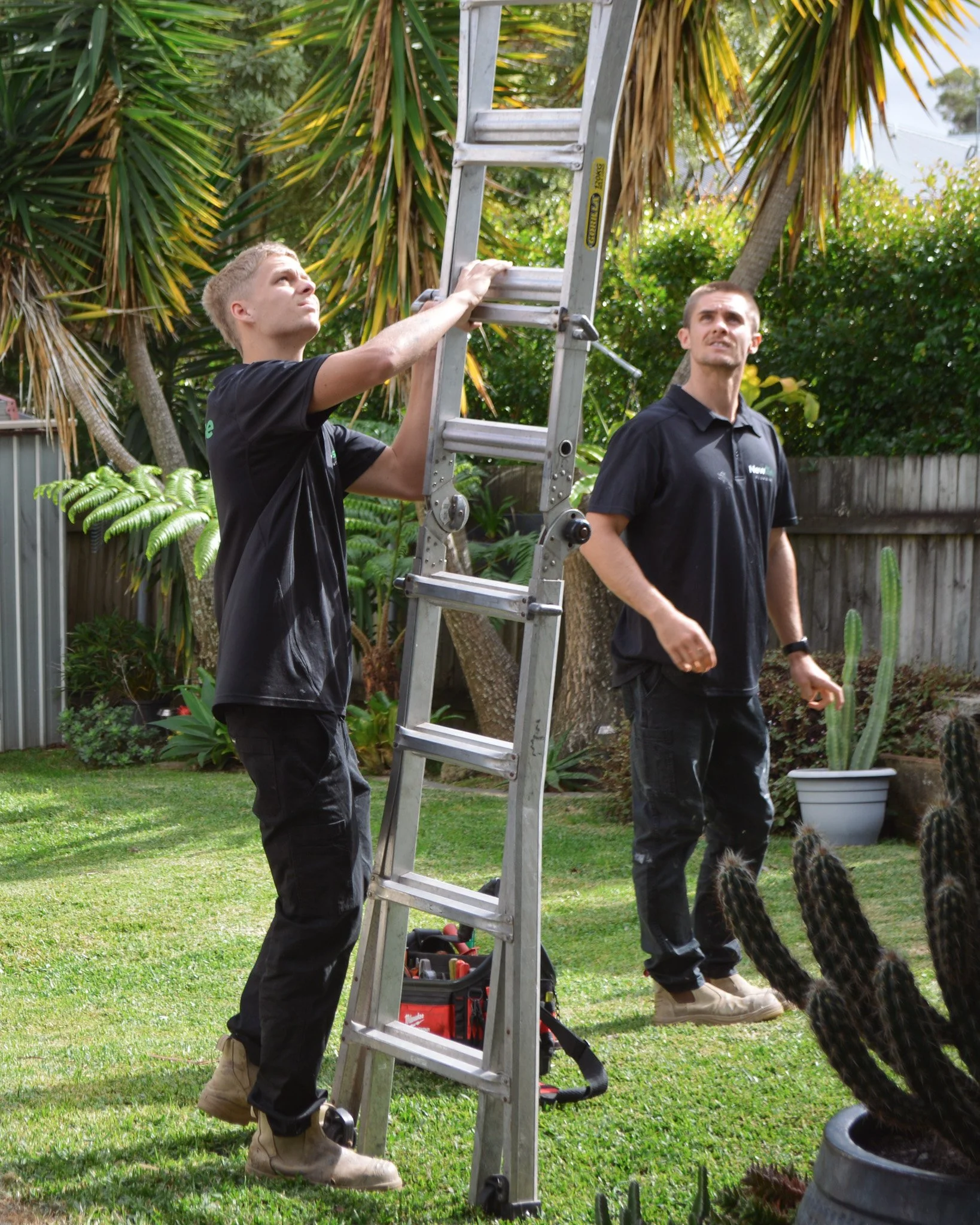 Jack and Cooper from NewRise Plumbing carrying a ladder at a residential plumbing job in Sydney
