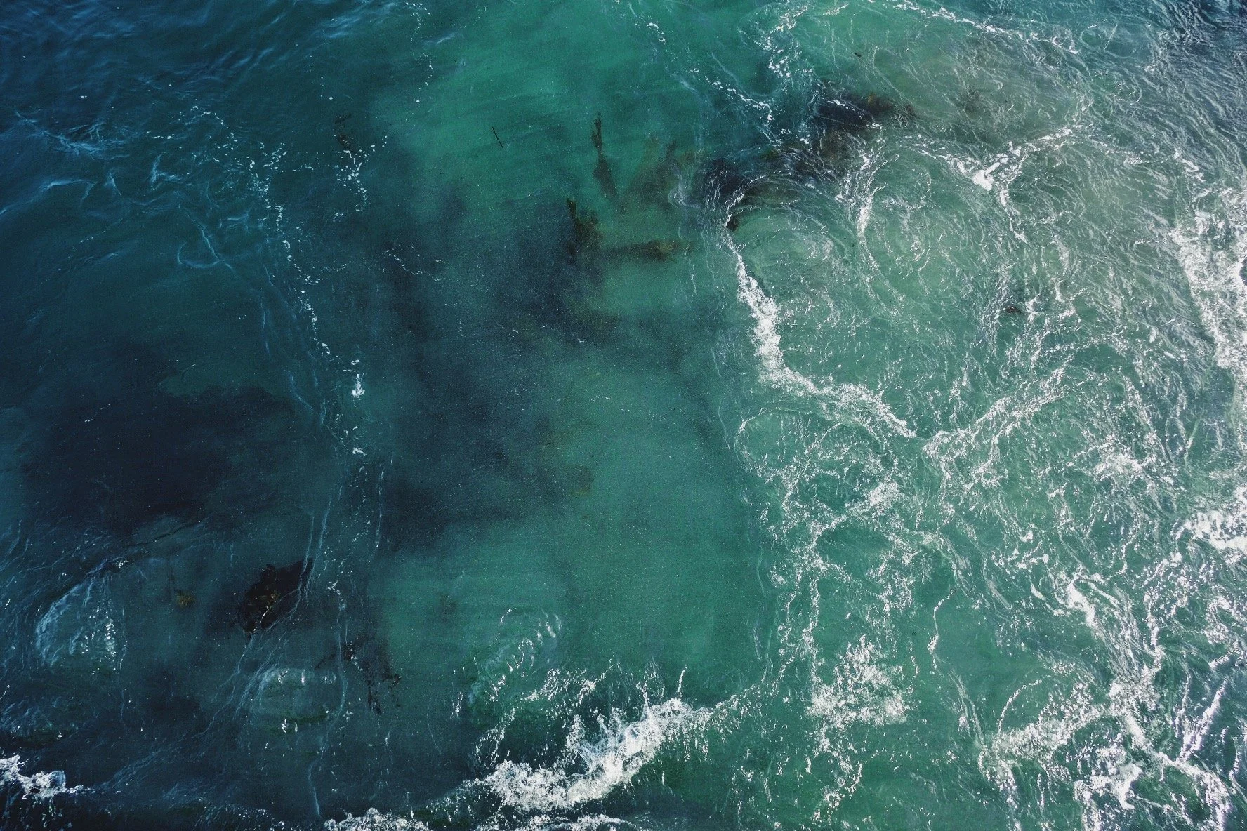 A2CB173D-FDD2-4548-A6A8-FB0AABB3C359-4746-000000B6E8070D9F 4.jpg