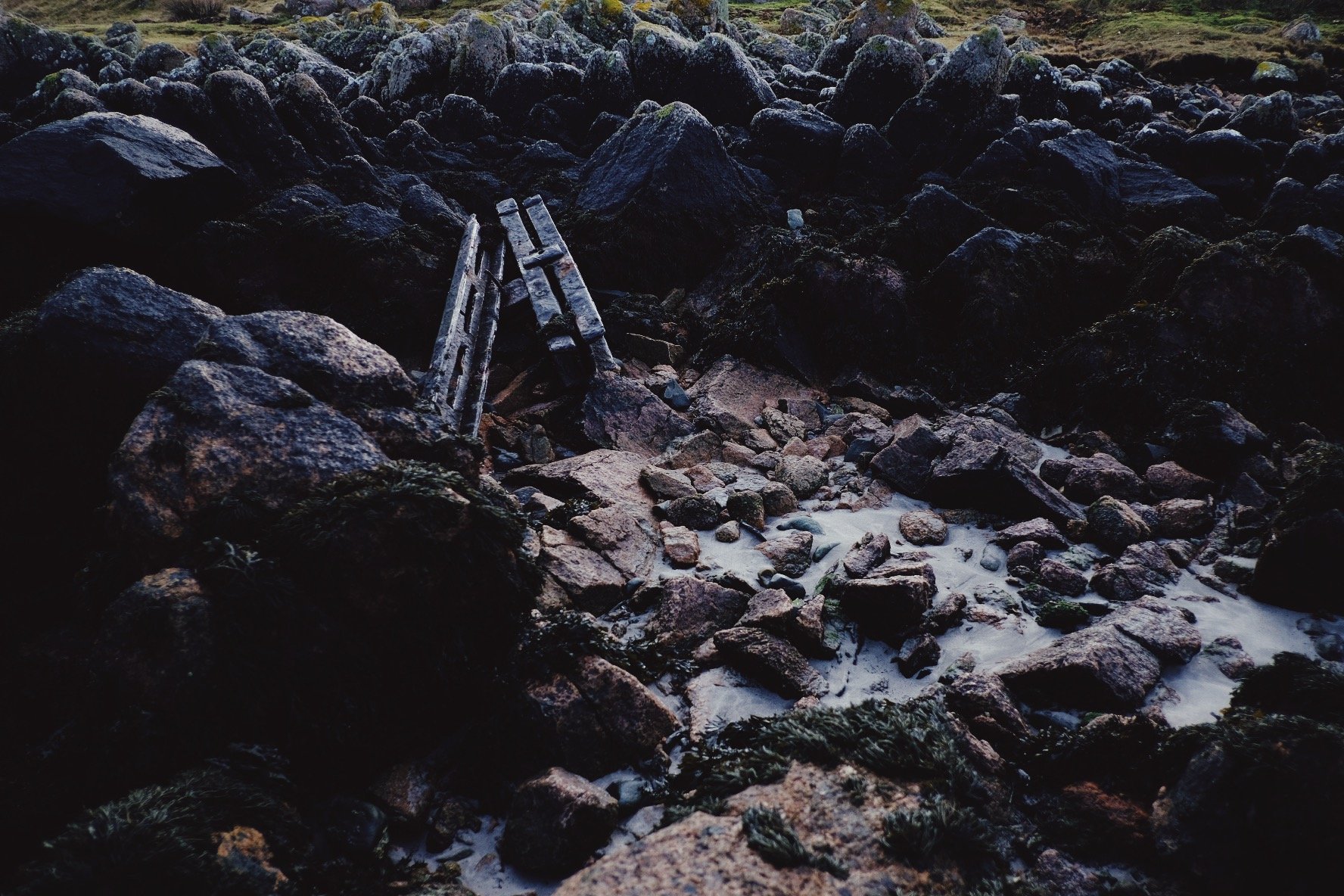 A0685C39-E2C7-44EC-9D30-181A8FD3F3CC-875-0000000EC7813F3A 2.jpg