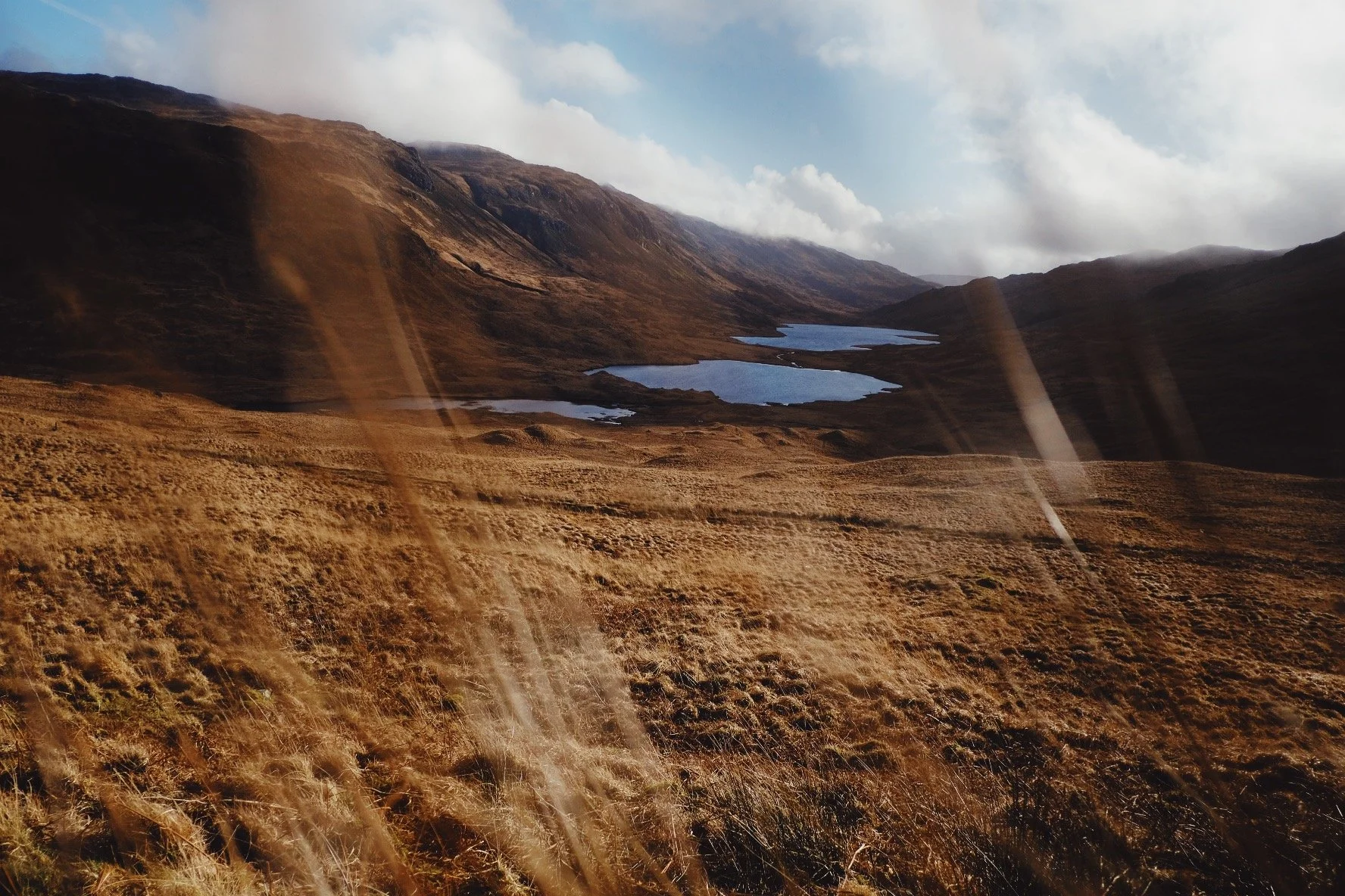 7D98453D-5C7D-4262-925D-2CB256924BDF-875-0000000E7319D73A 2.jpg