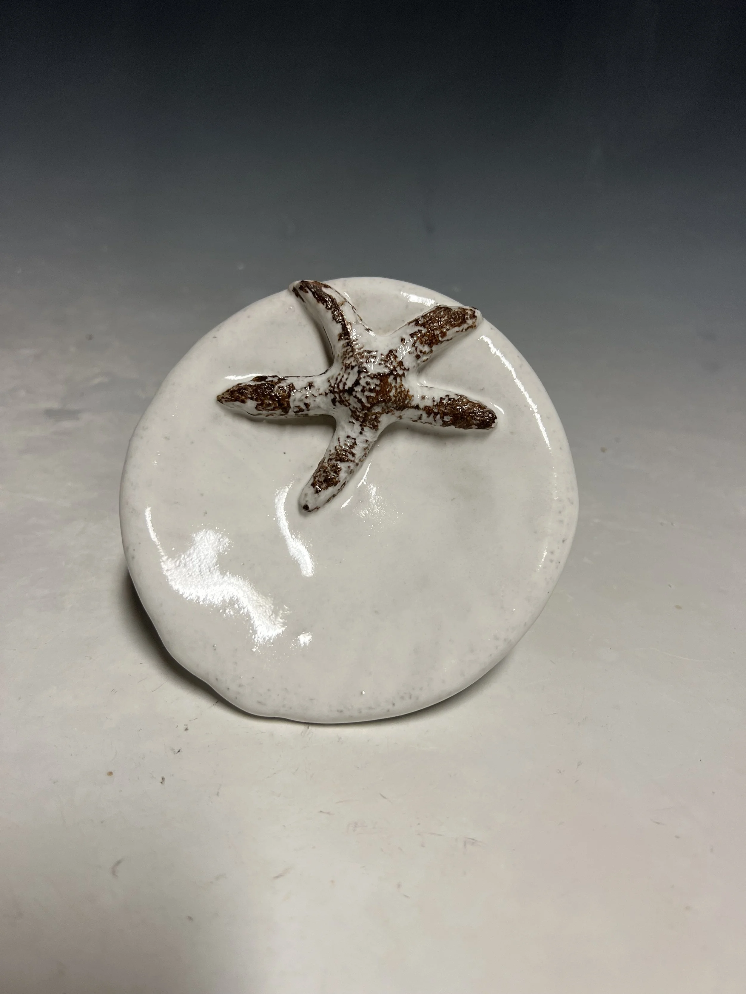 Mini Starfish Plate