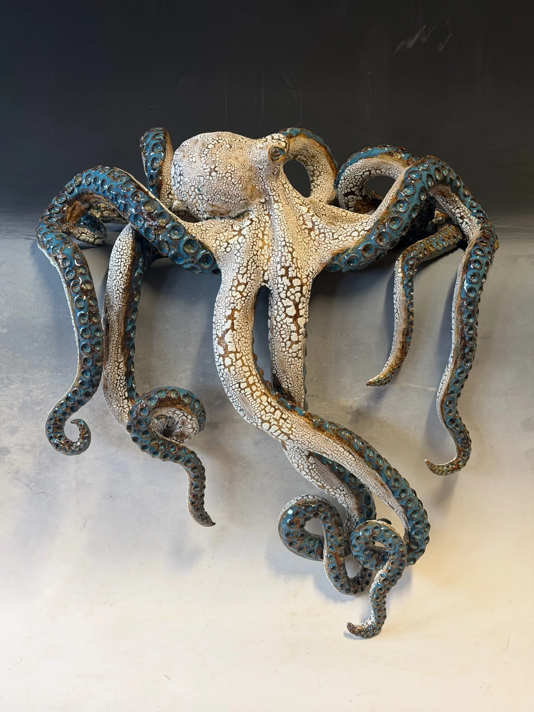 Giant Shelf Octopus
