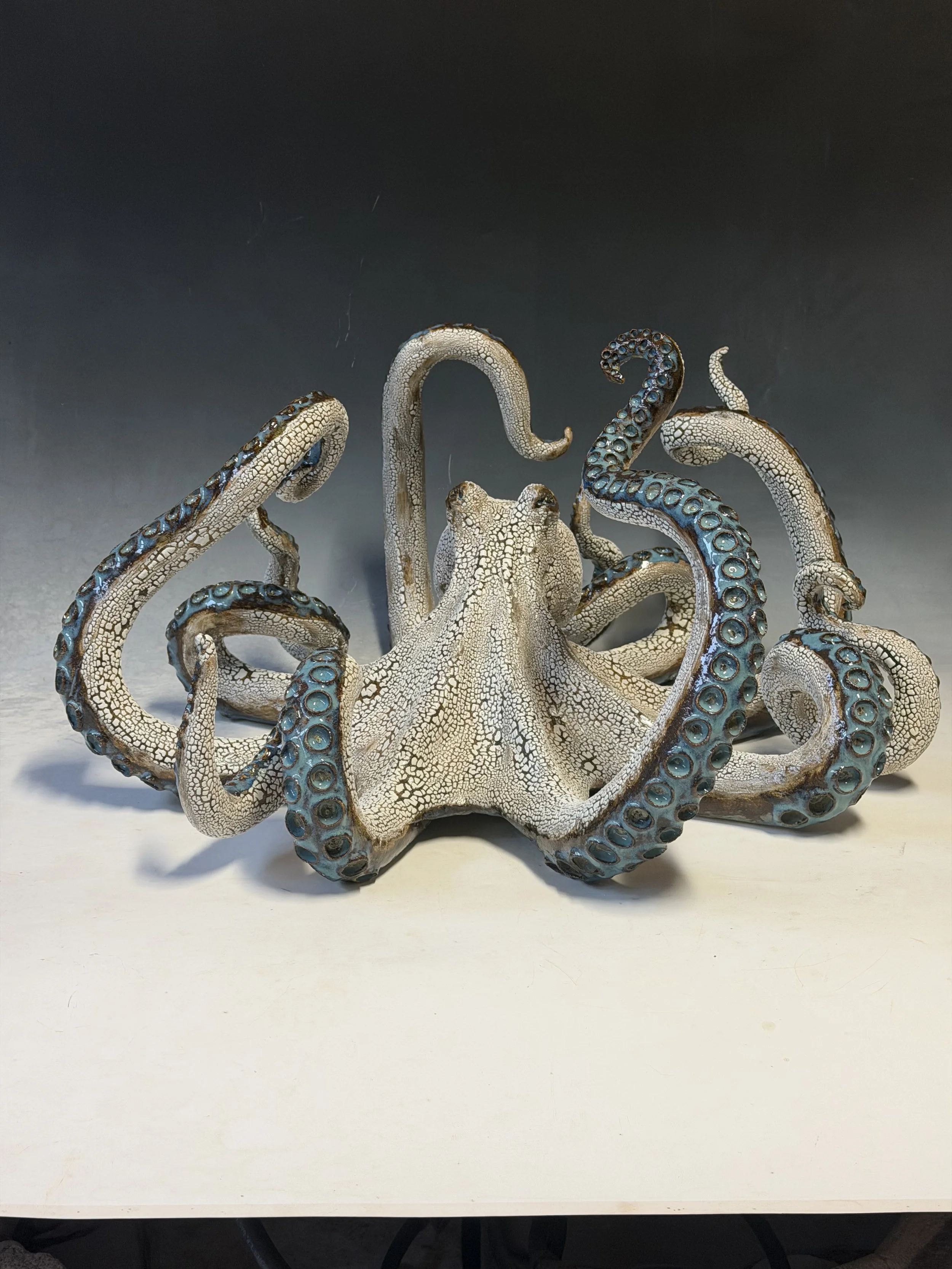 Giant Table Octopus