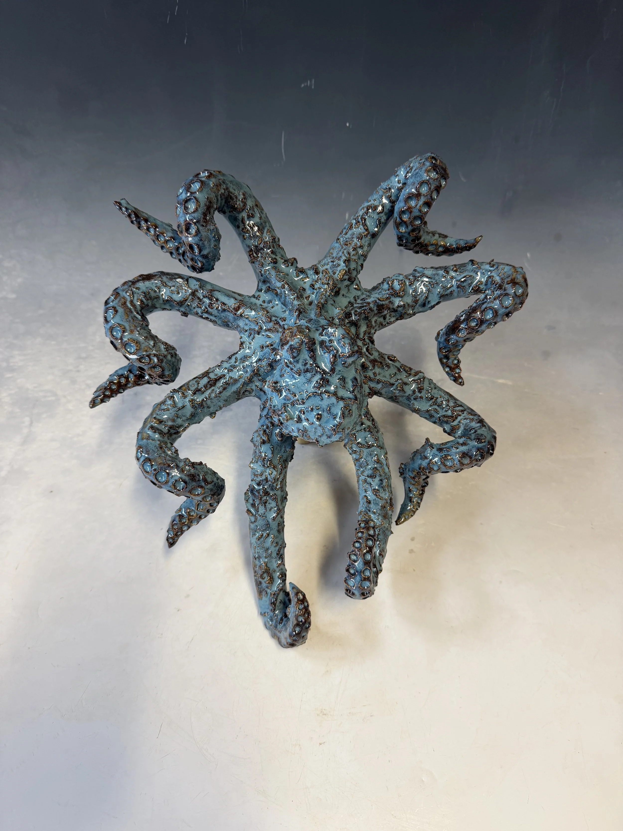 Small Textured Wall Octopus