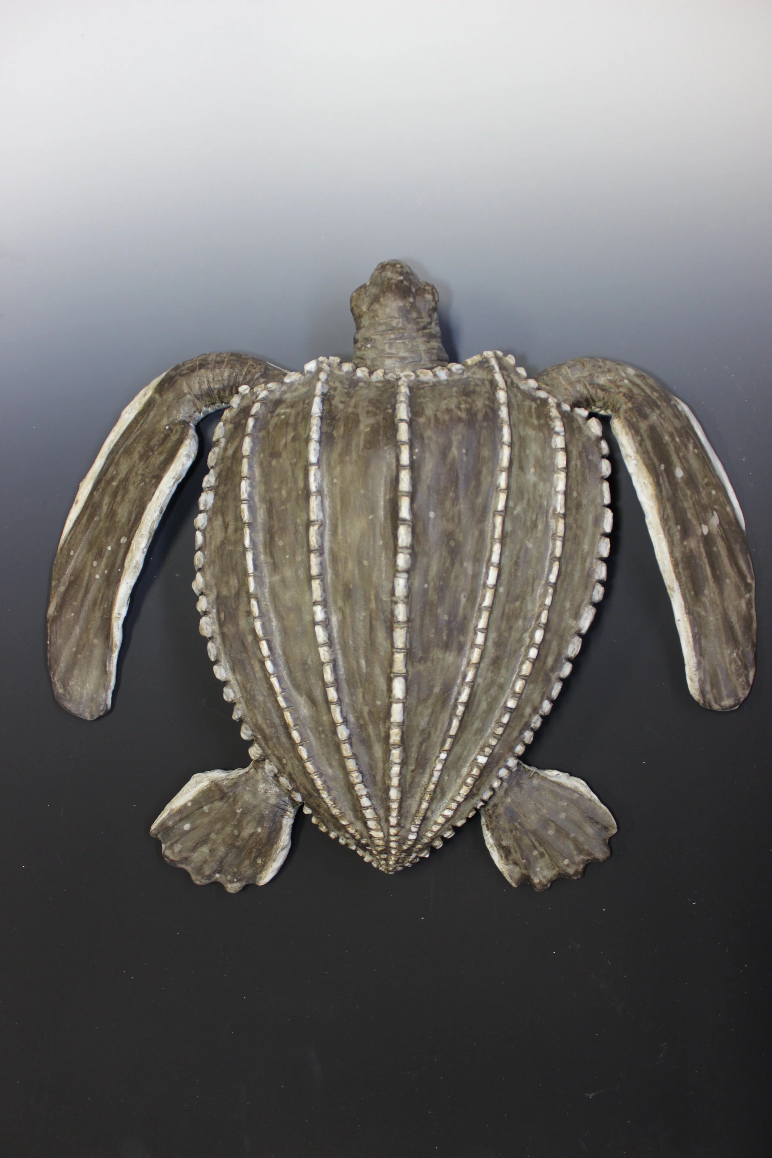 Mother Leatherback Wall Turtle