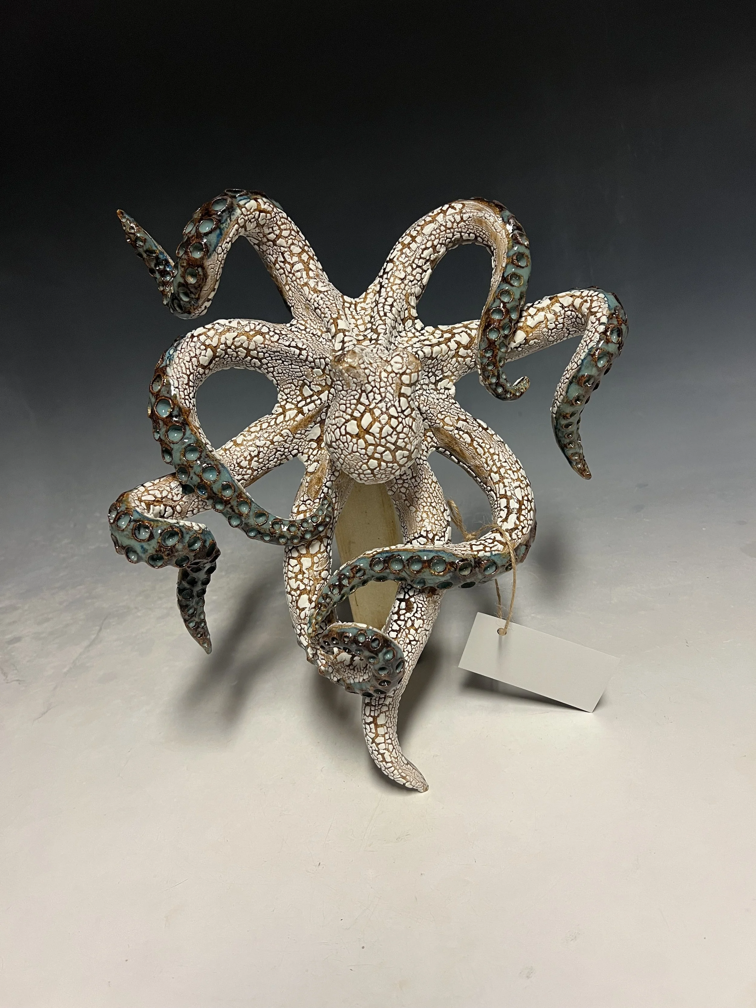 Small Wall Octopus