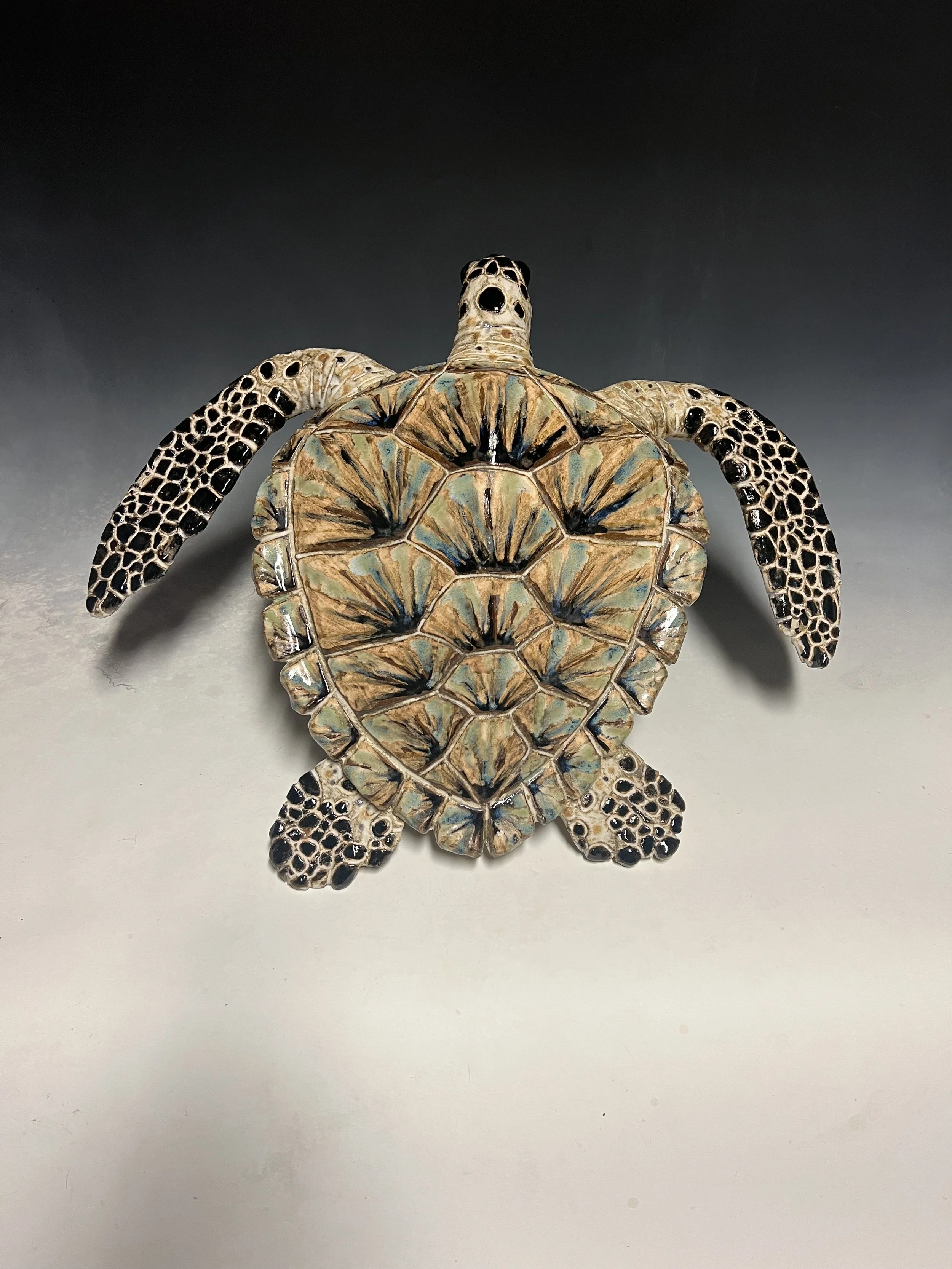 Large Marbled Wall Turtle