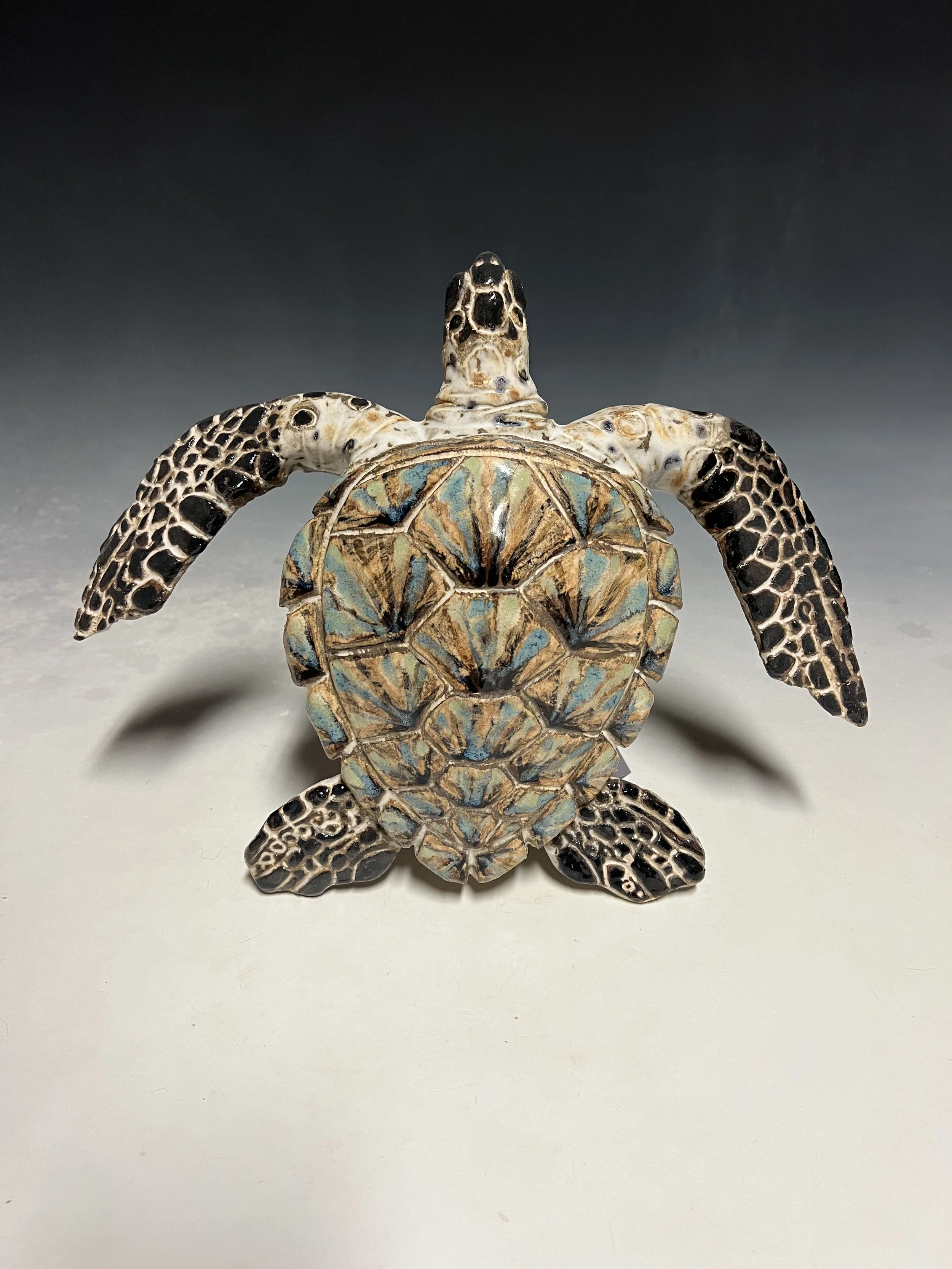 Small Marbled Wall Turtle