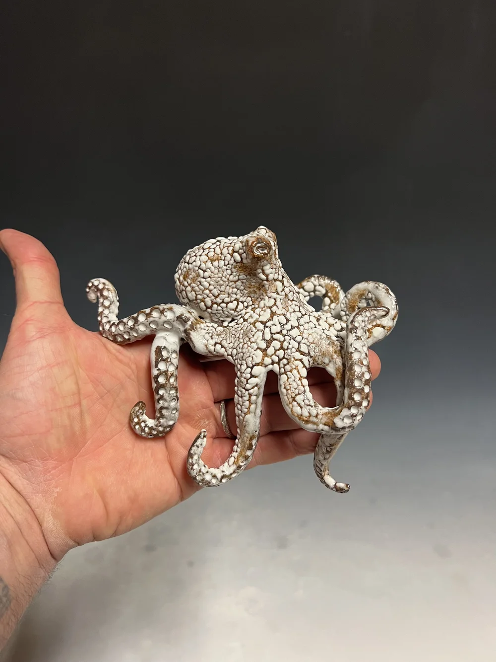 Mini Shelf Octopus — Shayne Greco Ceramics