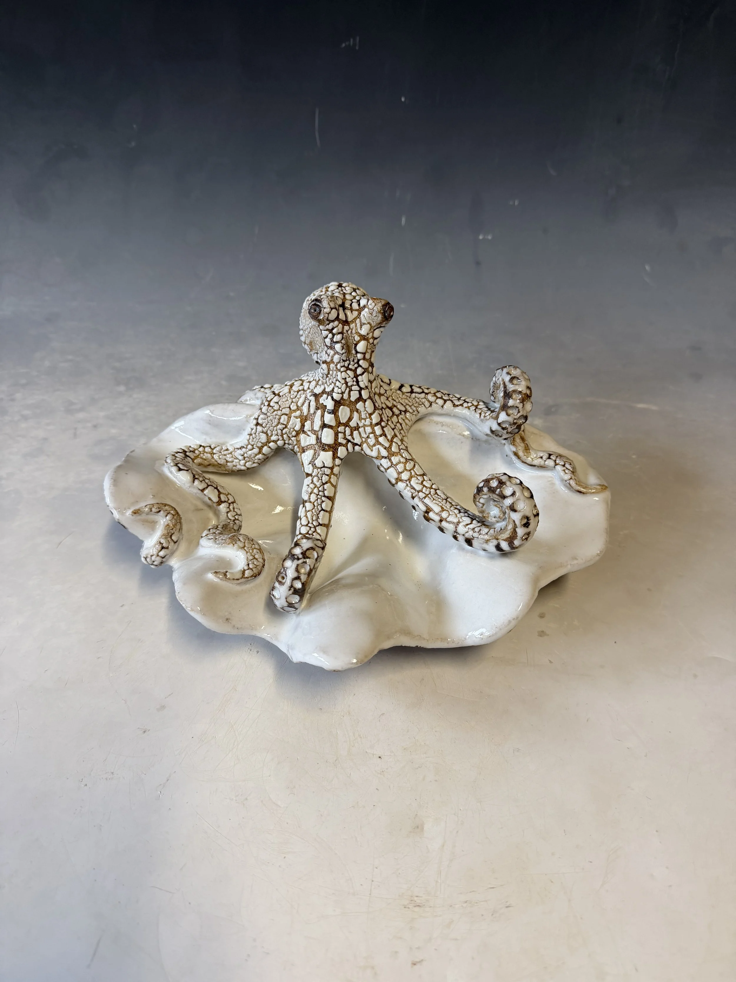 Mini clam shell with Octopus