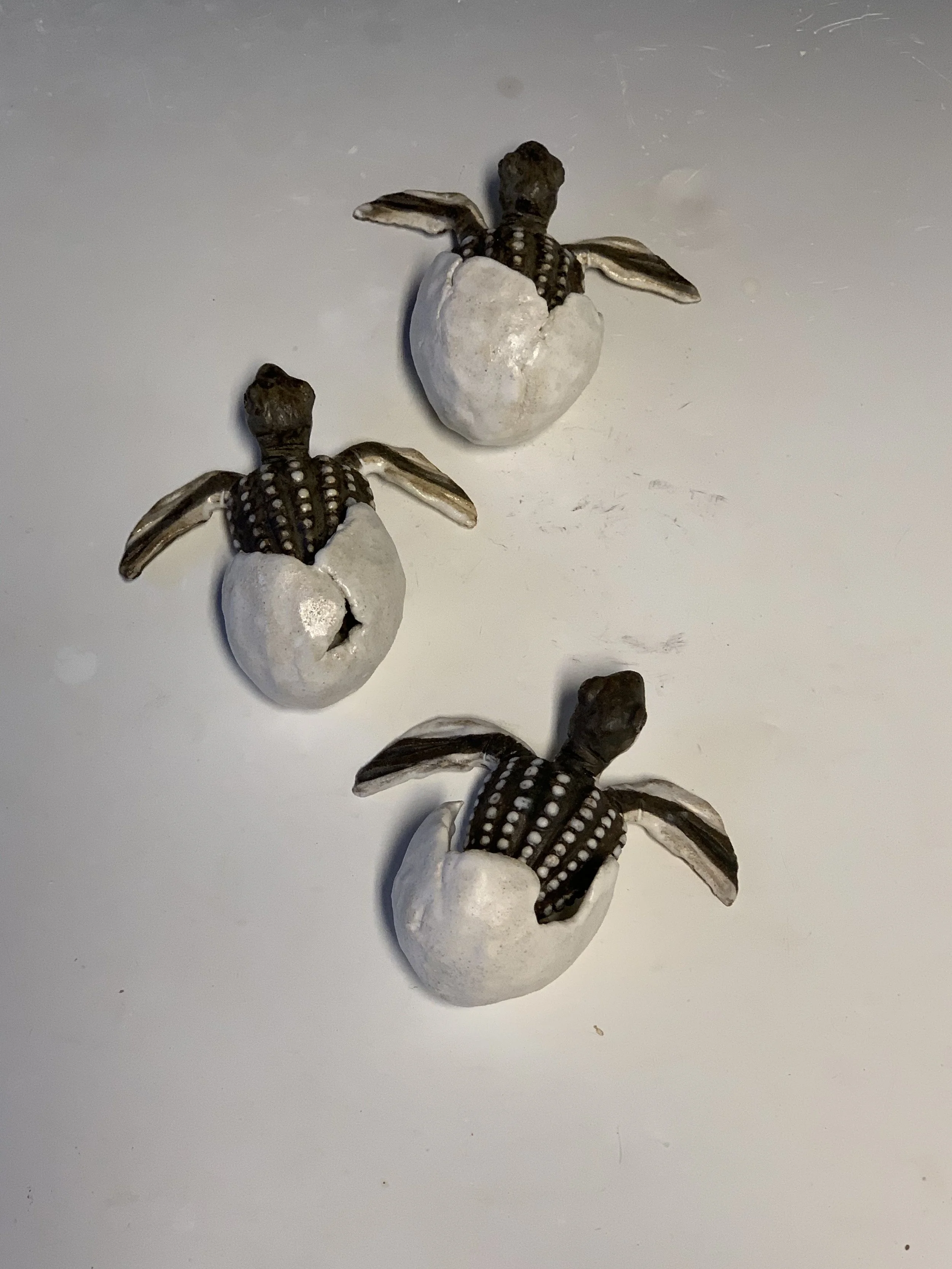 Baby leatherback wall turtle hatching