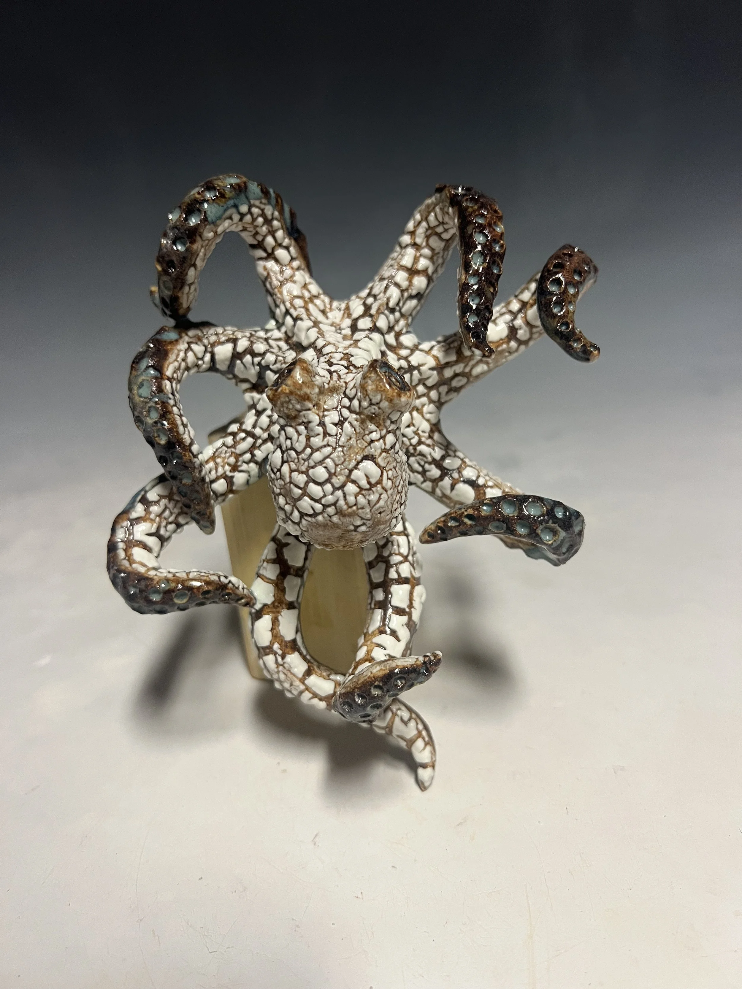 Mini Wall Octopus