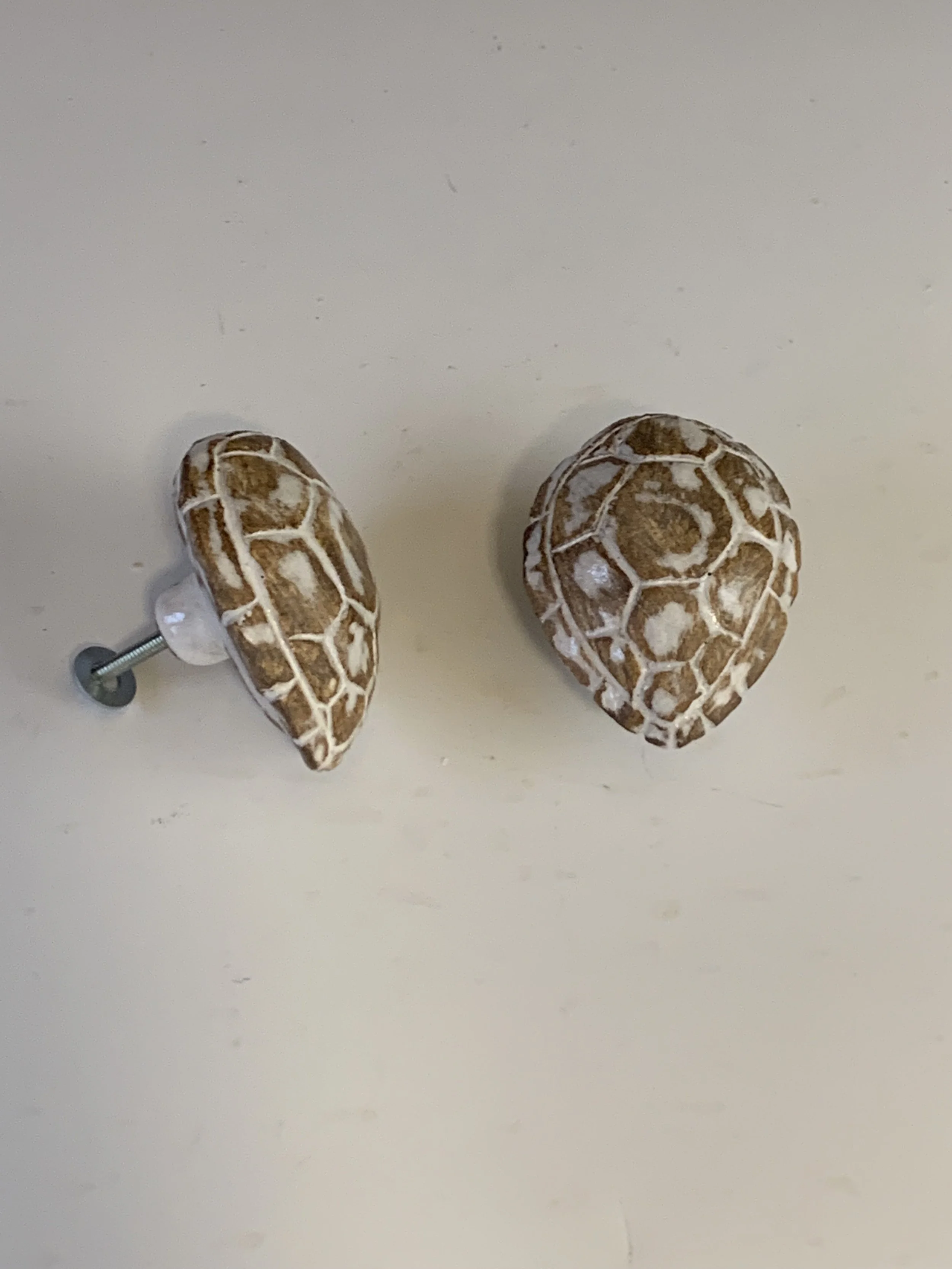 Turtle Shell Knob