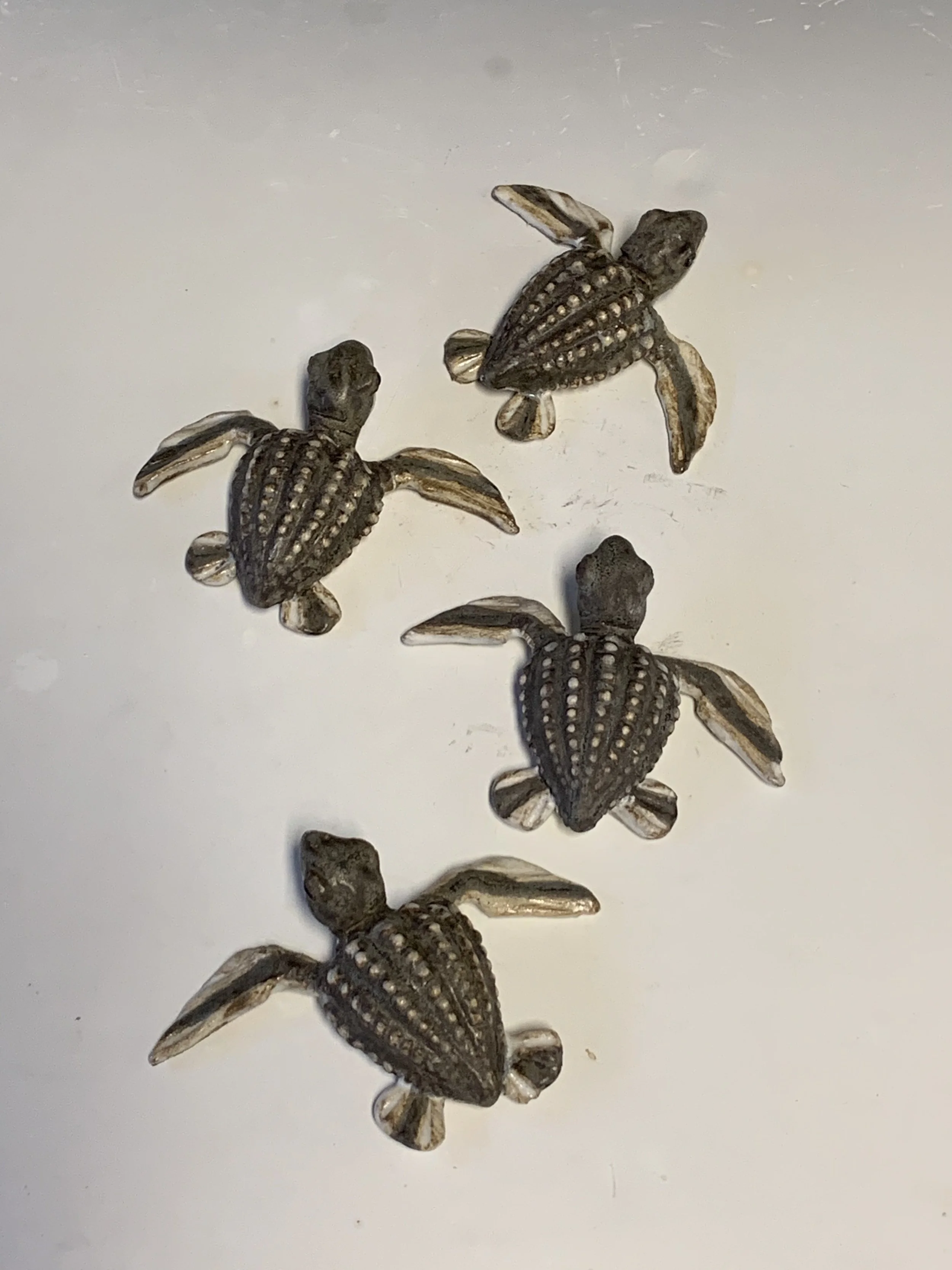 Baby Leatherback Wall turtle