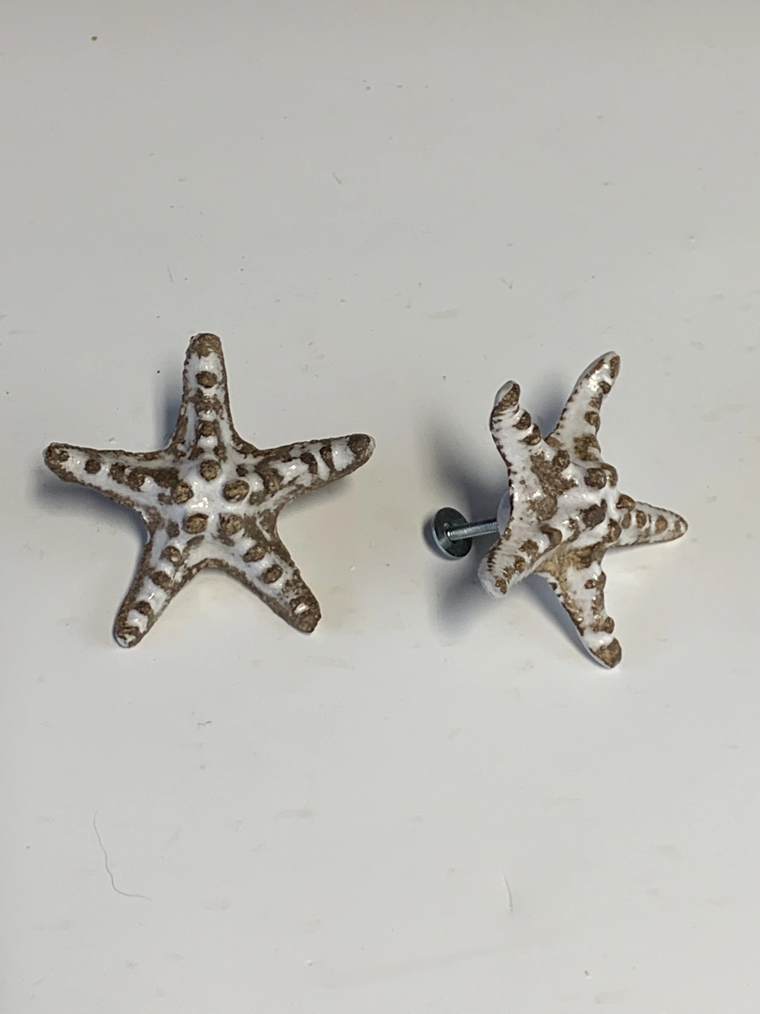 Starfish Drawer Pull