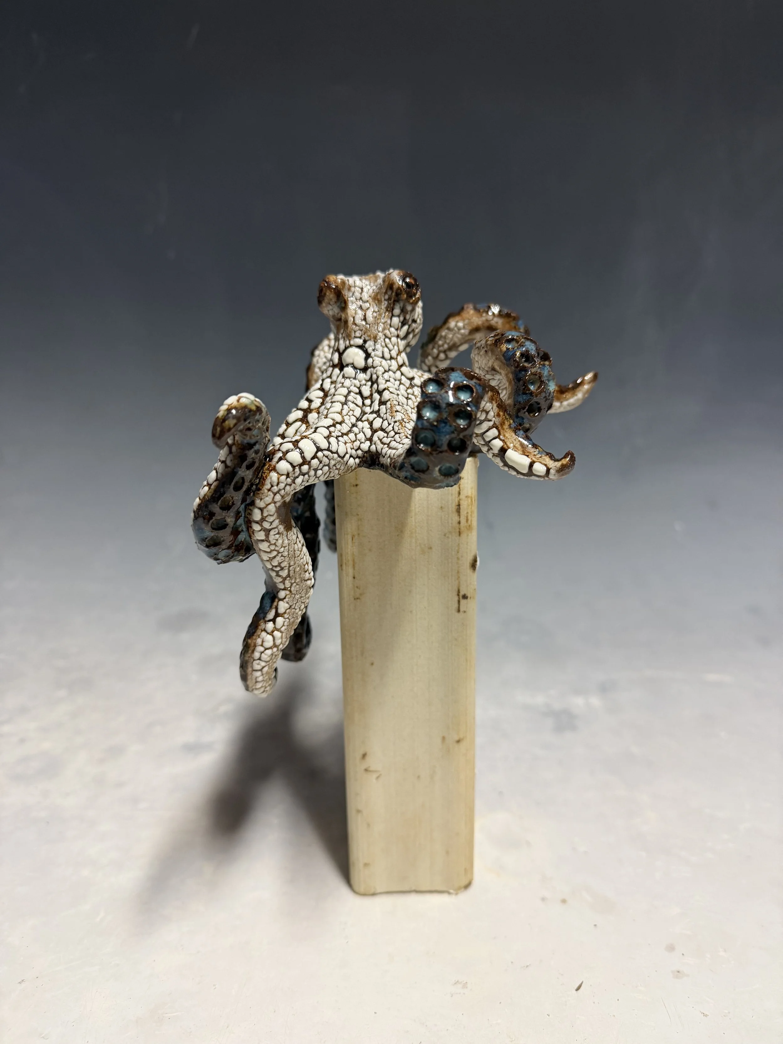 IMG_4099.jpeg