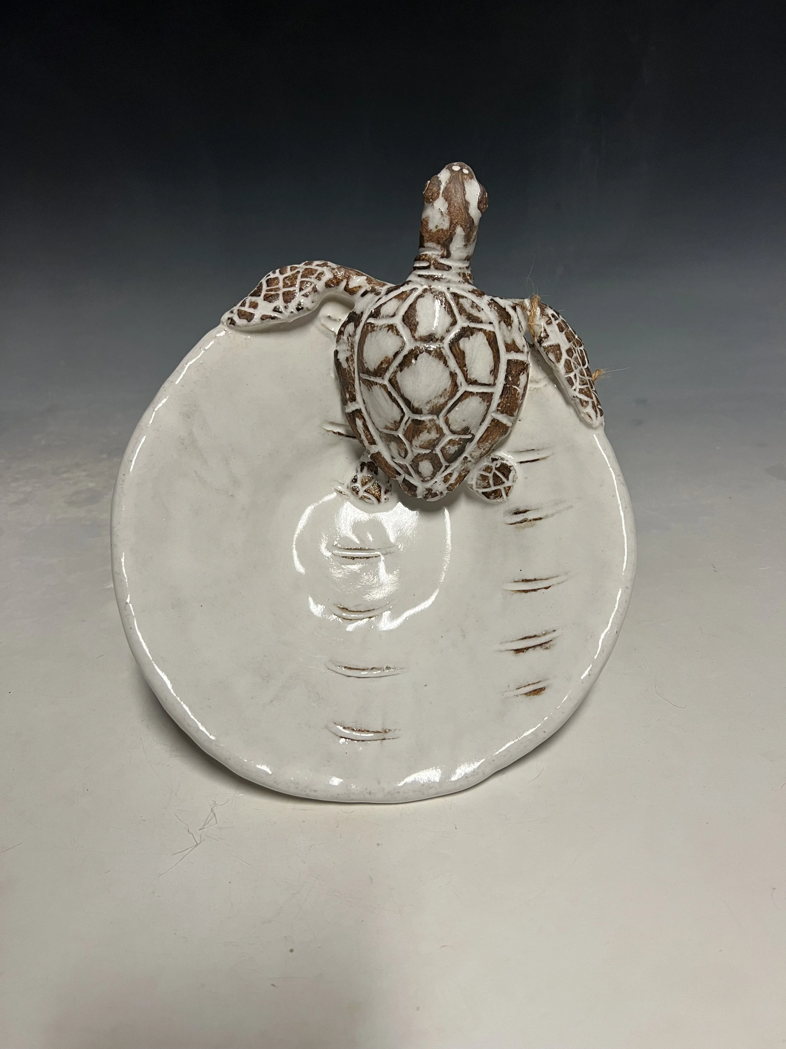 Turtle Bowl