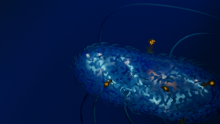 Cell animation0261.png