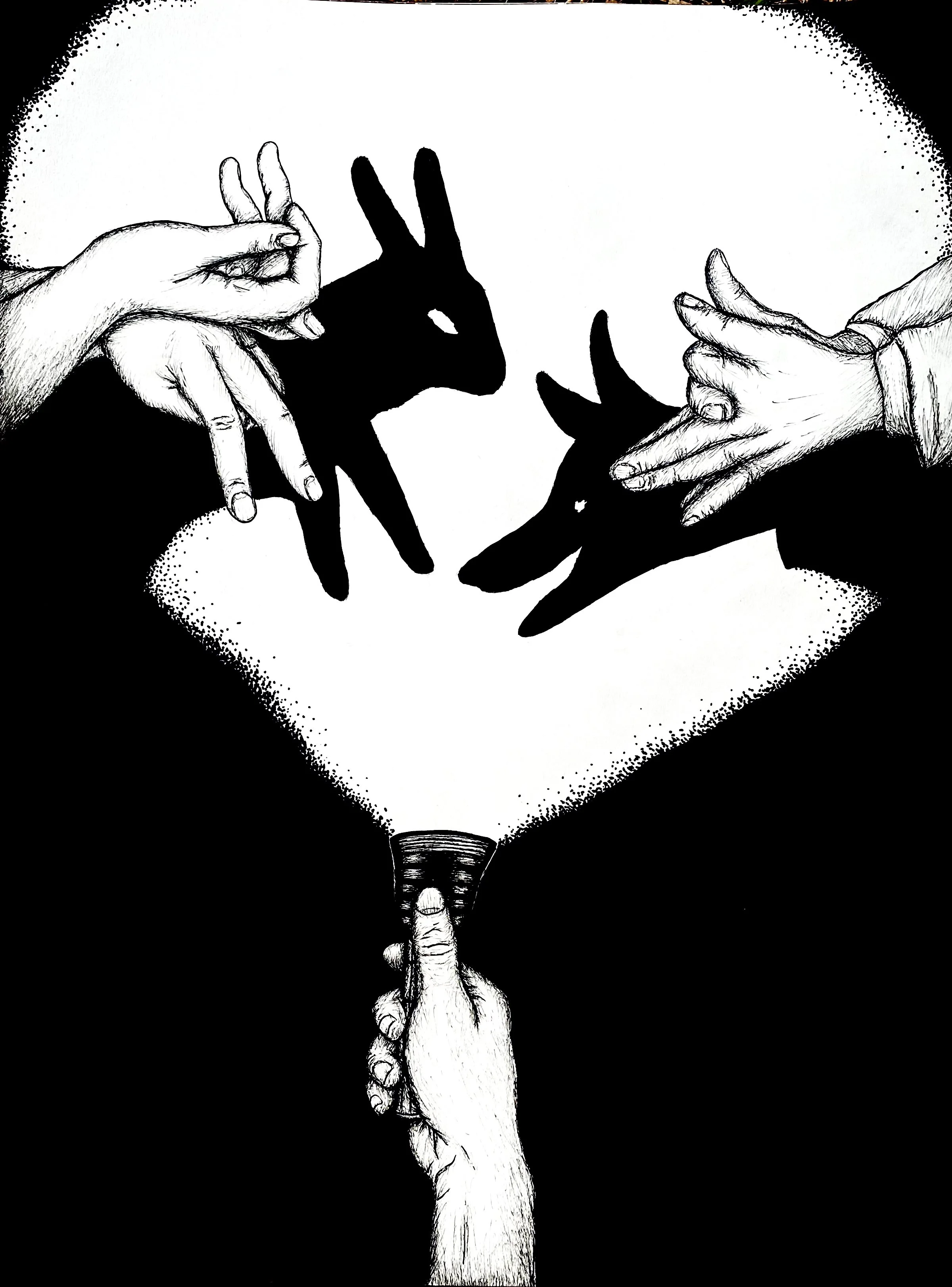 A black and white illustration of a hand holding a flashlight pointed upwards, with two additional hands forming shadow puppets of a rabbit and a wolf on the wall behind.