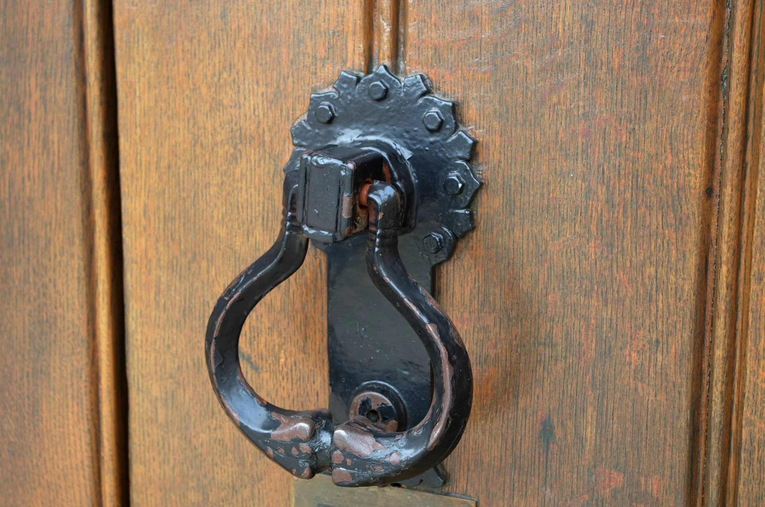 Study: Jehovah’s Witnesses (9/20/26)