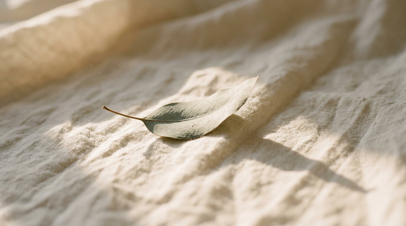 A dried leaf resting on textured fabric with sunlight casting a shadow.