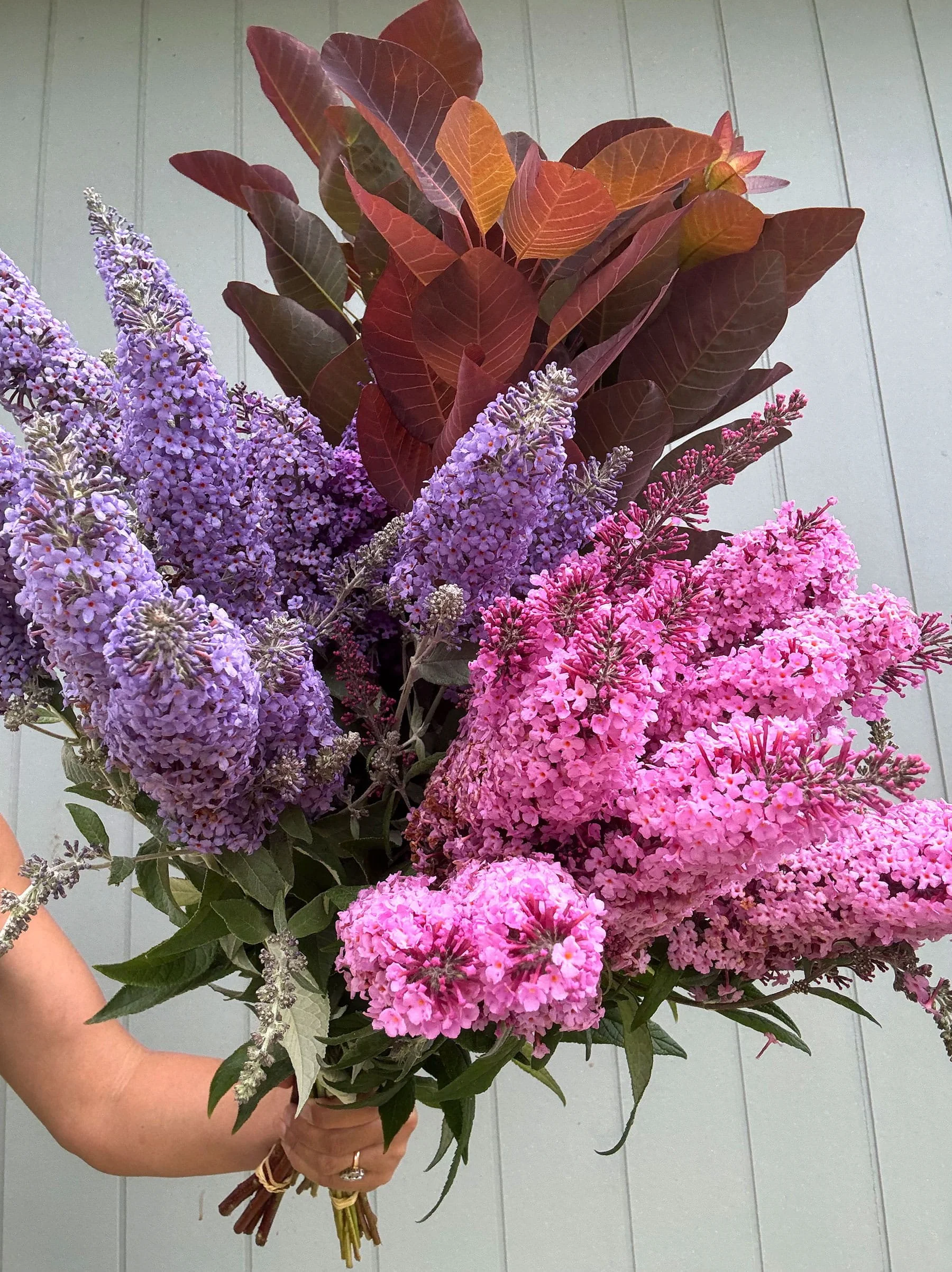 Market Bunch_Gilliflower Studio_Bouquets.jpg