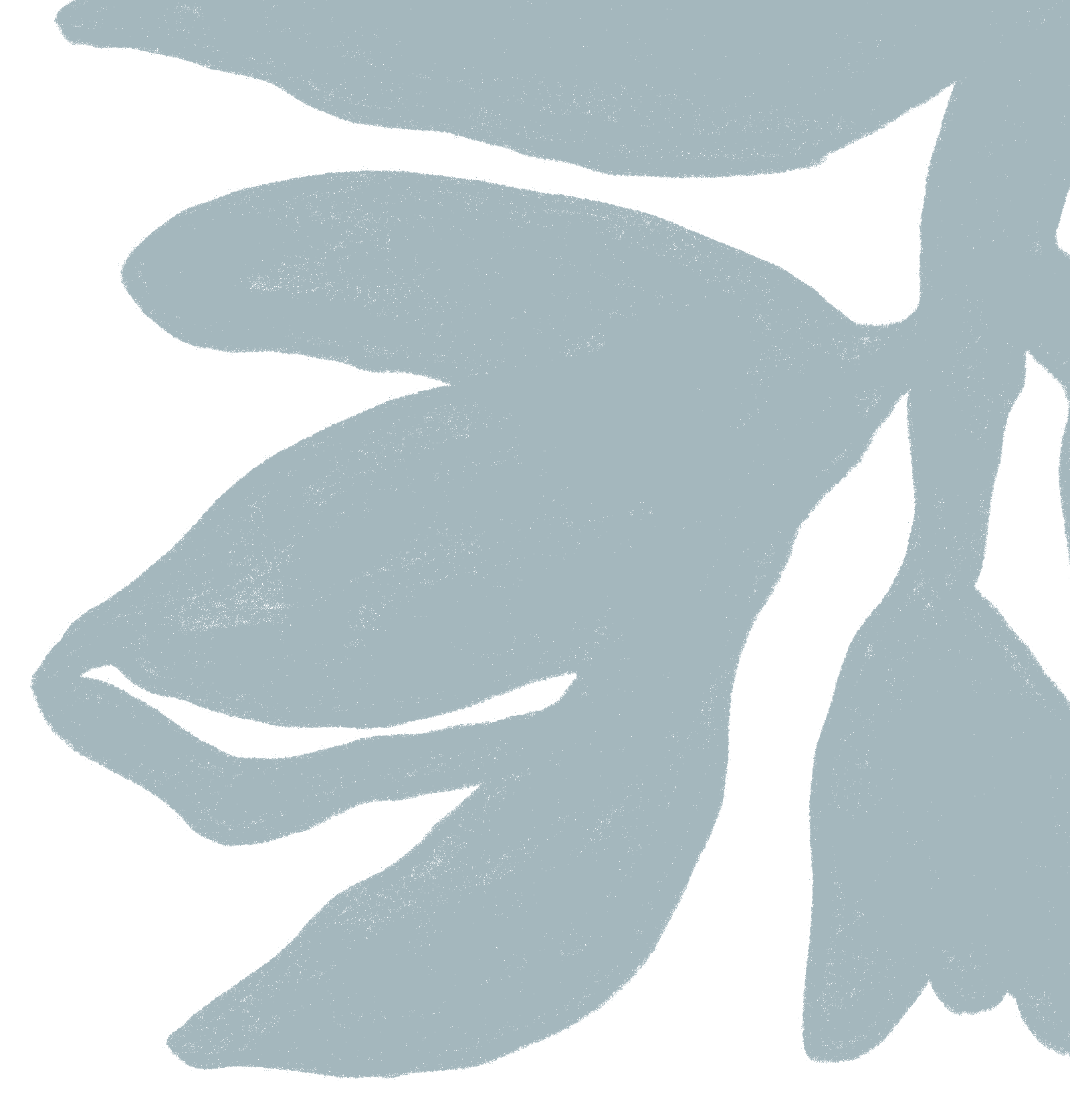 An abstract sketch of a flower.