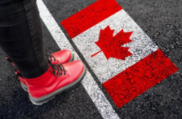Boosting enrollment in Newcomer Services