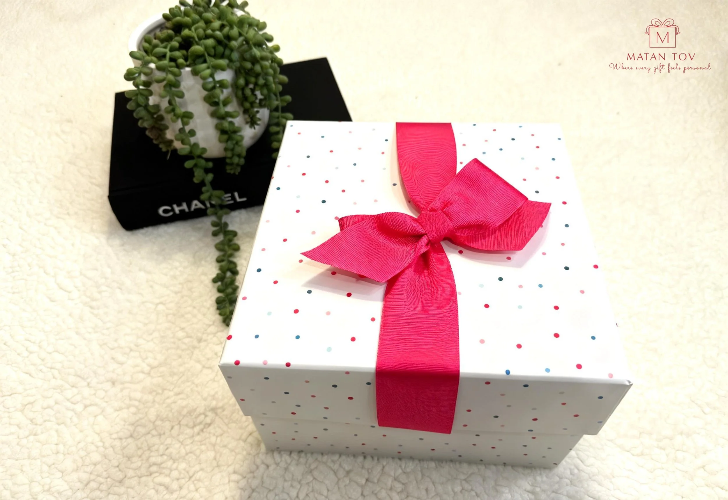 A white gift box with red, blue, and black polka dots, tied with a large pink ribbon bow, placed on a light-colored textured surface. To the upper left, there is a black Chanel shopping bag with a small white pot containing a green succulent plant.