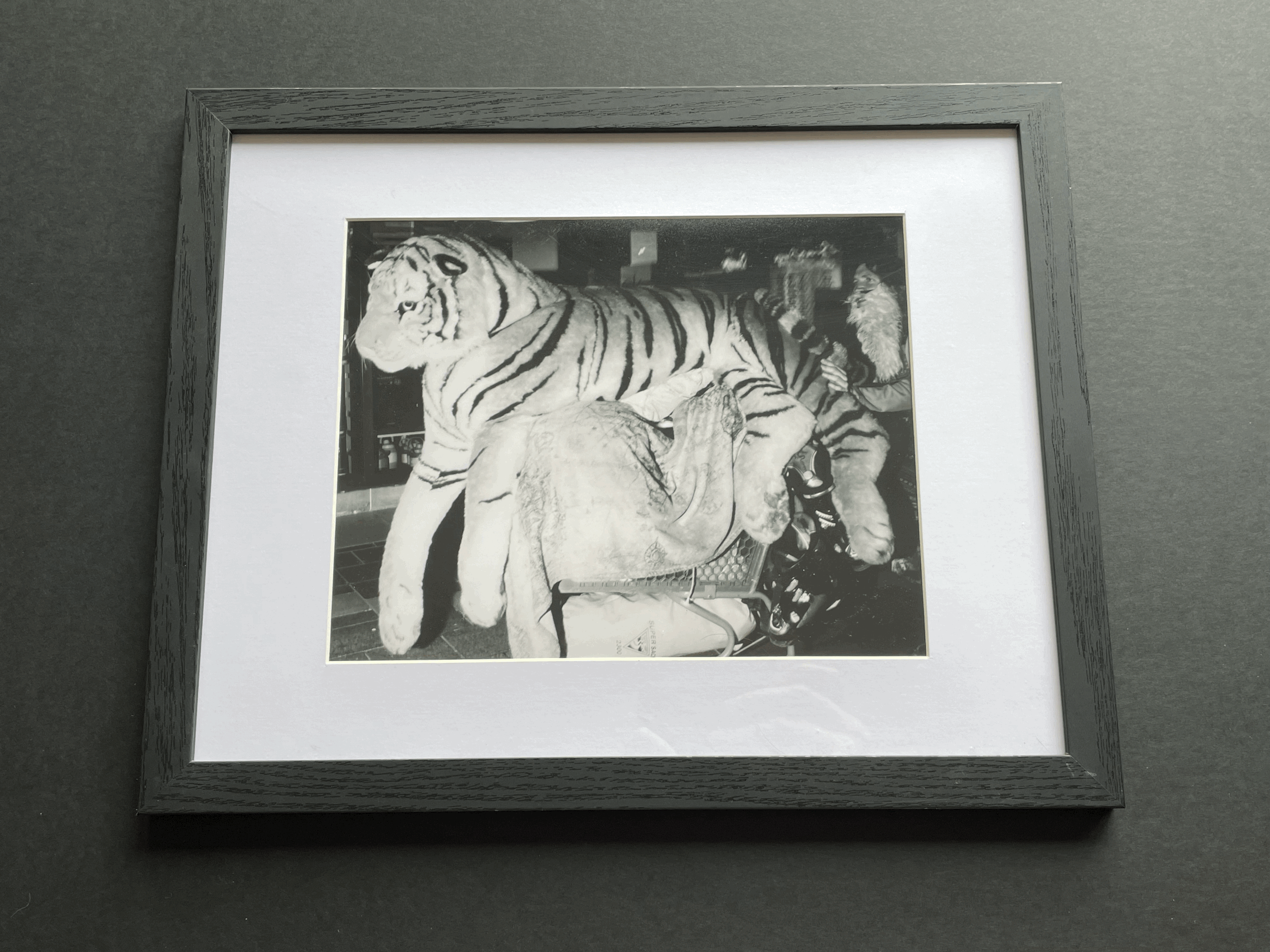 Framed Tiger Print