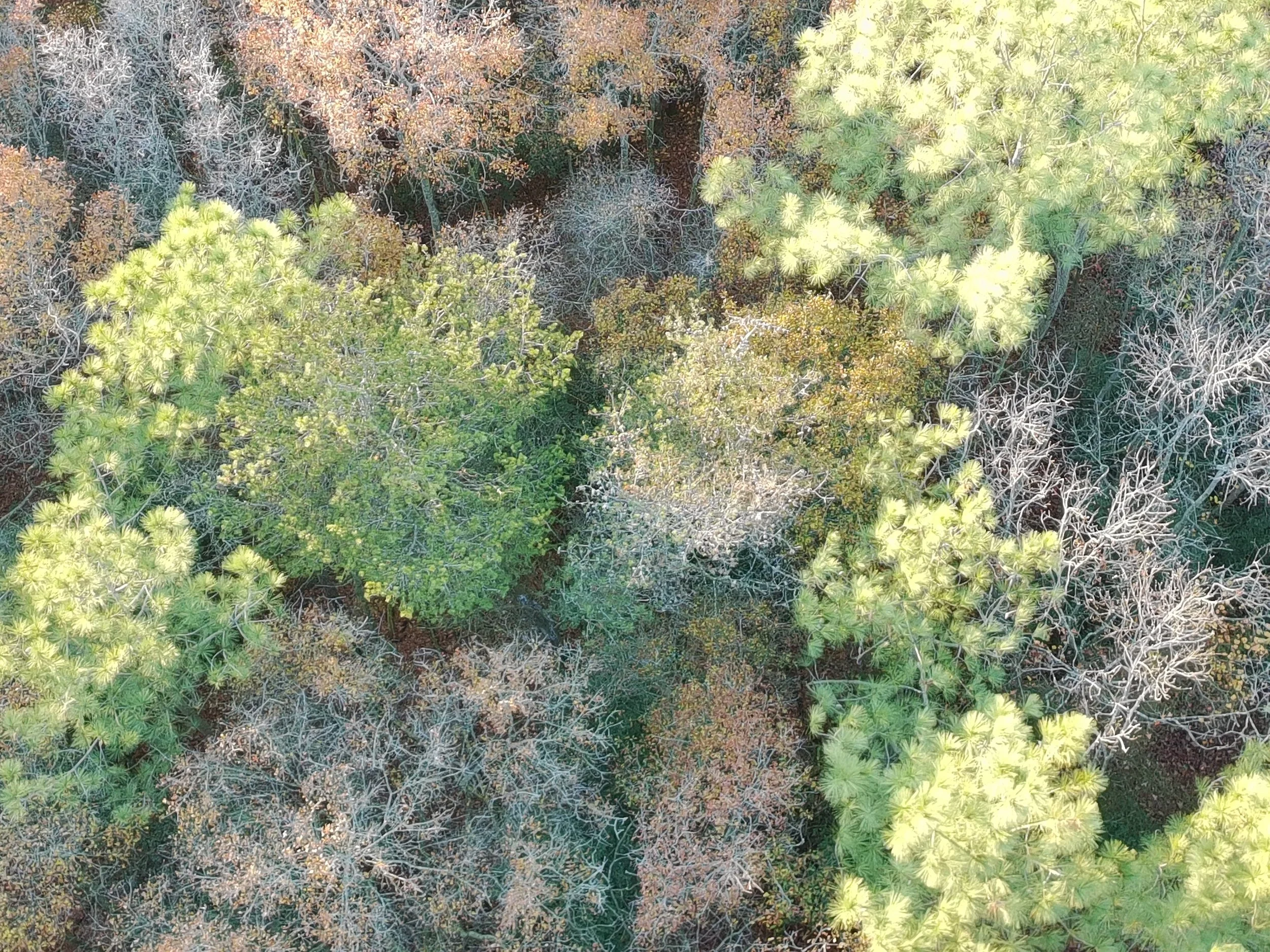 PTSC_0211.JPG