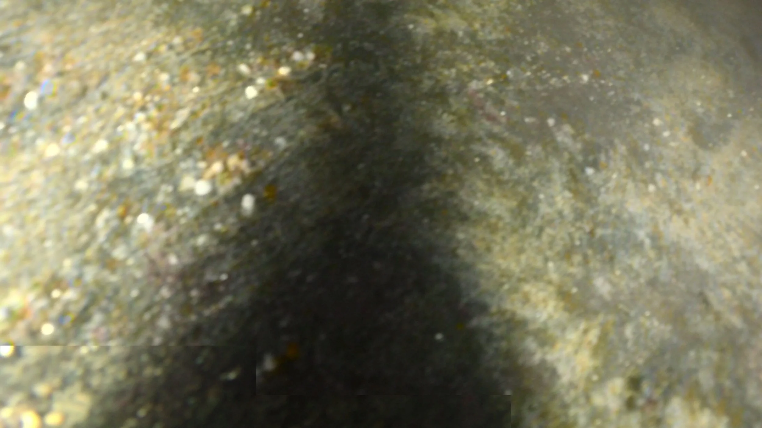 CAPT0050.JPG