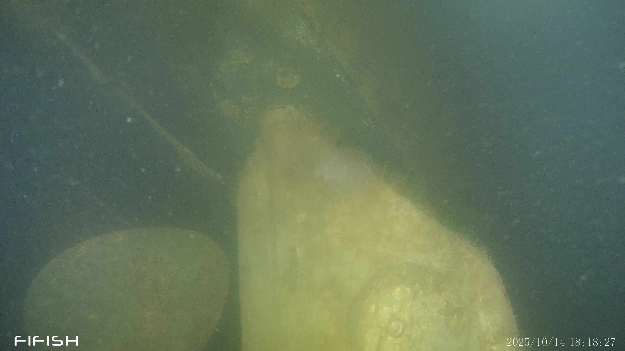 CAPT0003.JPG