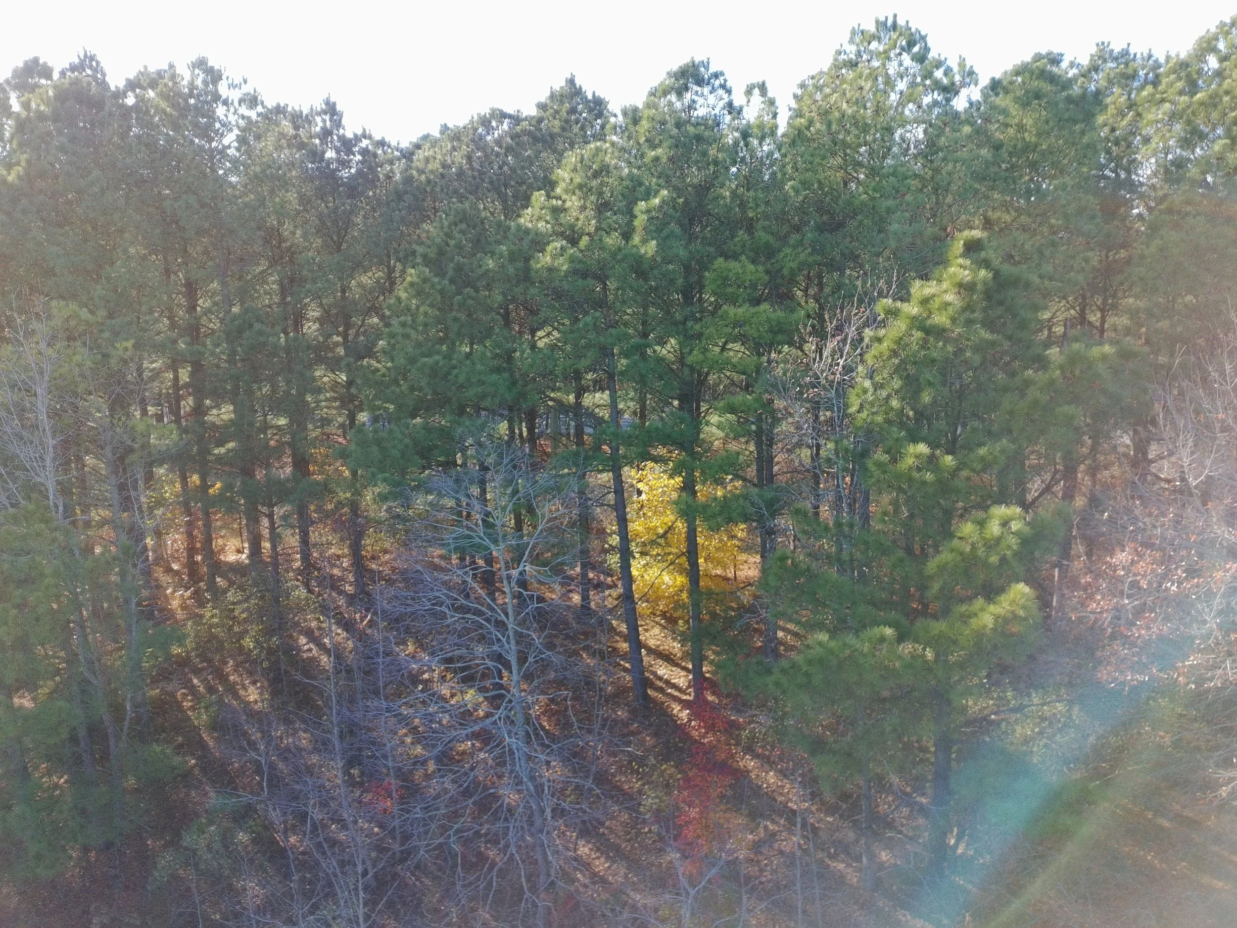 PTSC_0264_002.JPG