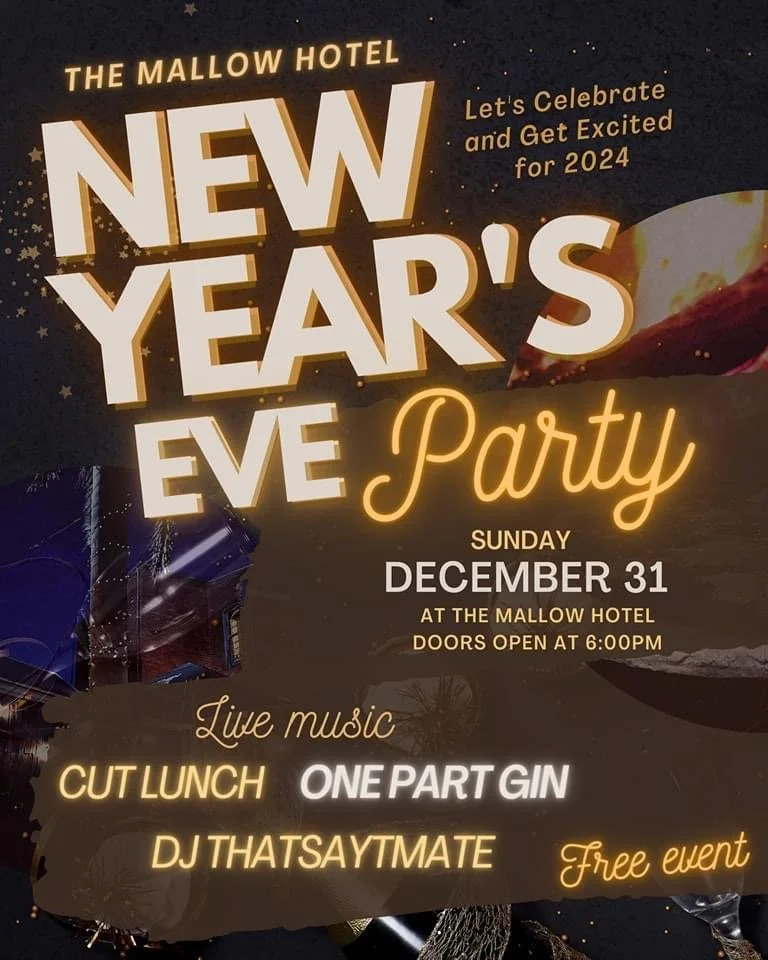 Mallow Hotel NYE Ballarat 2024 Sam Bell and Holly Sewell. One Part Gin dark folk music Ballarat, Creswick.