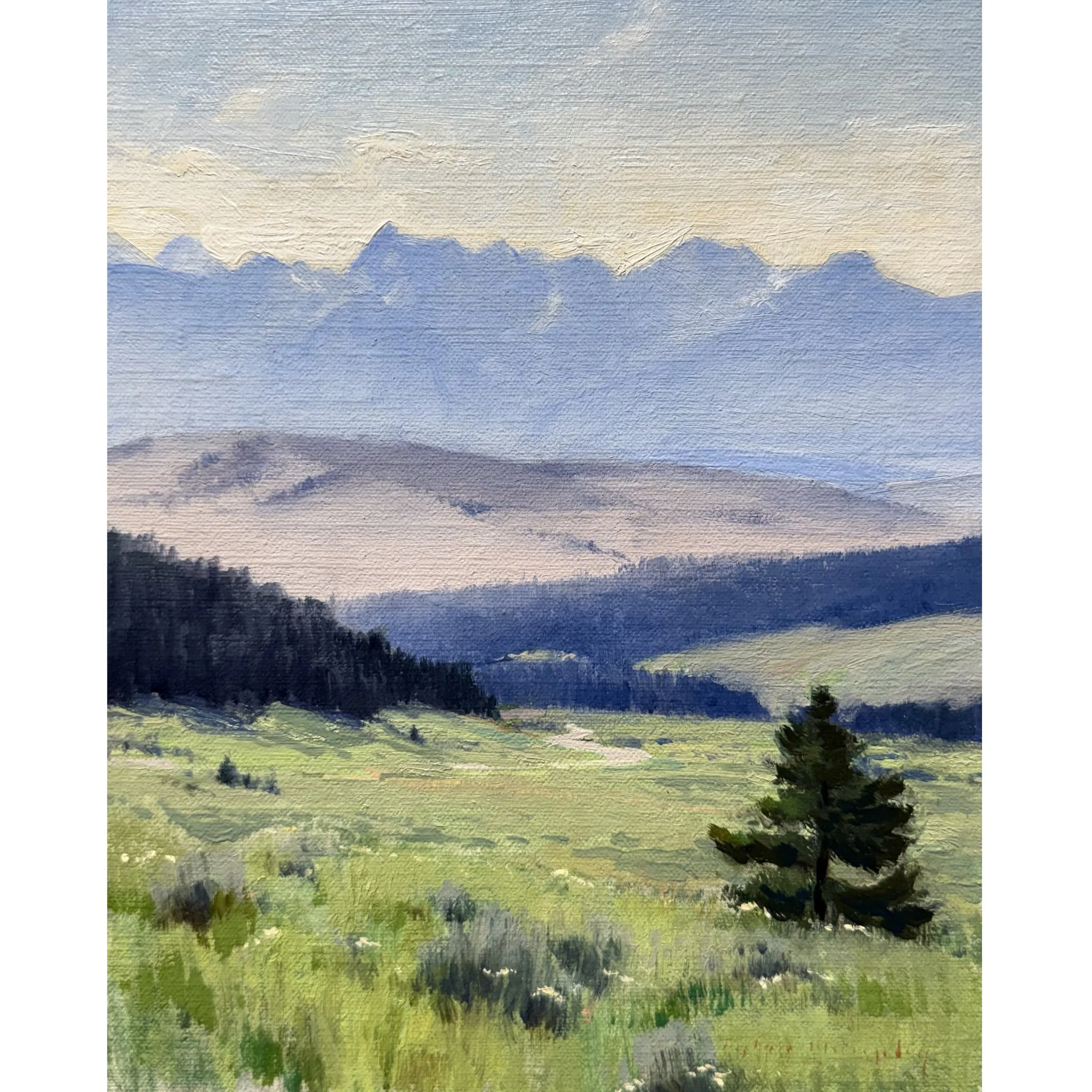 “Trail Creek Road, Plein Air” (2023)