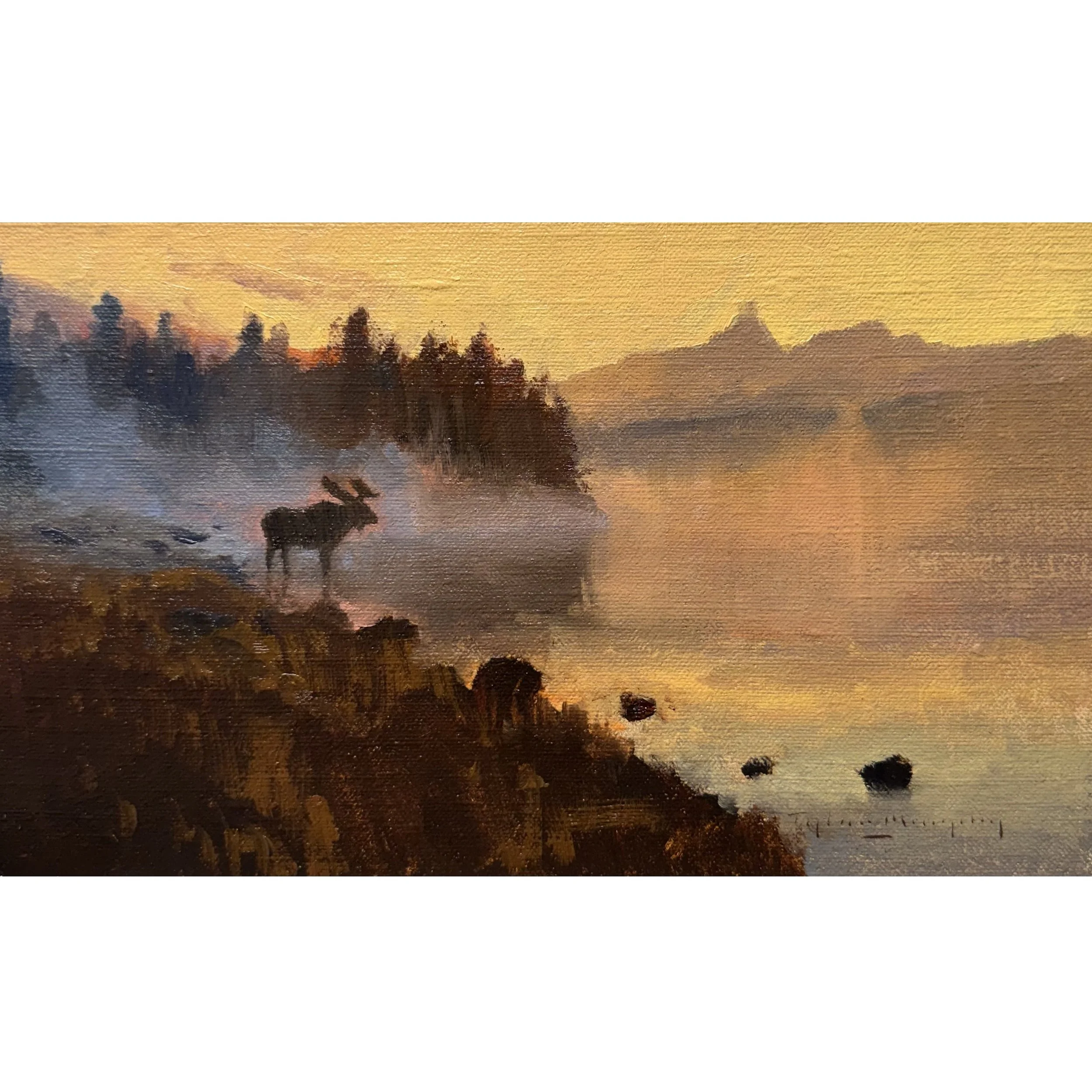 “Shoreline Monarch, Study”