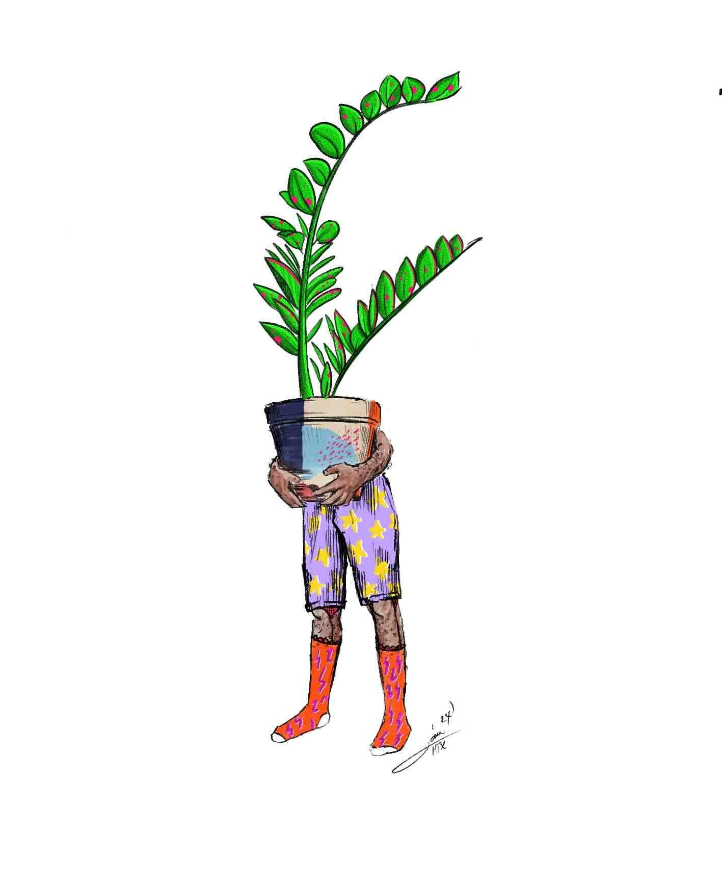 Plant Lover - Money Plant