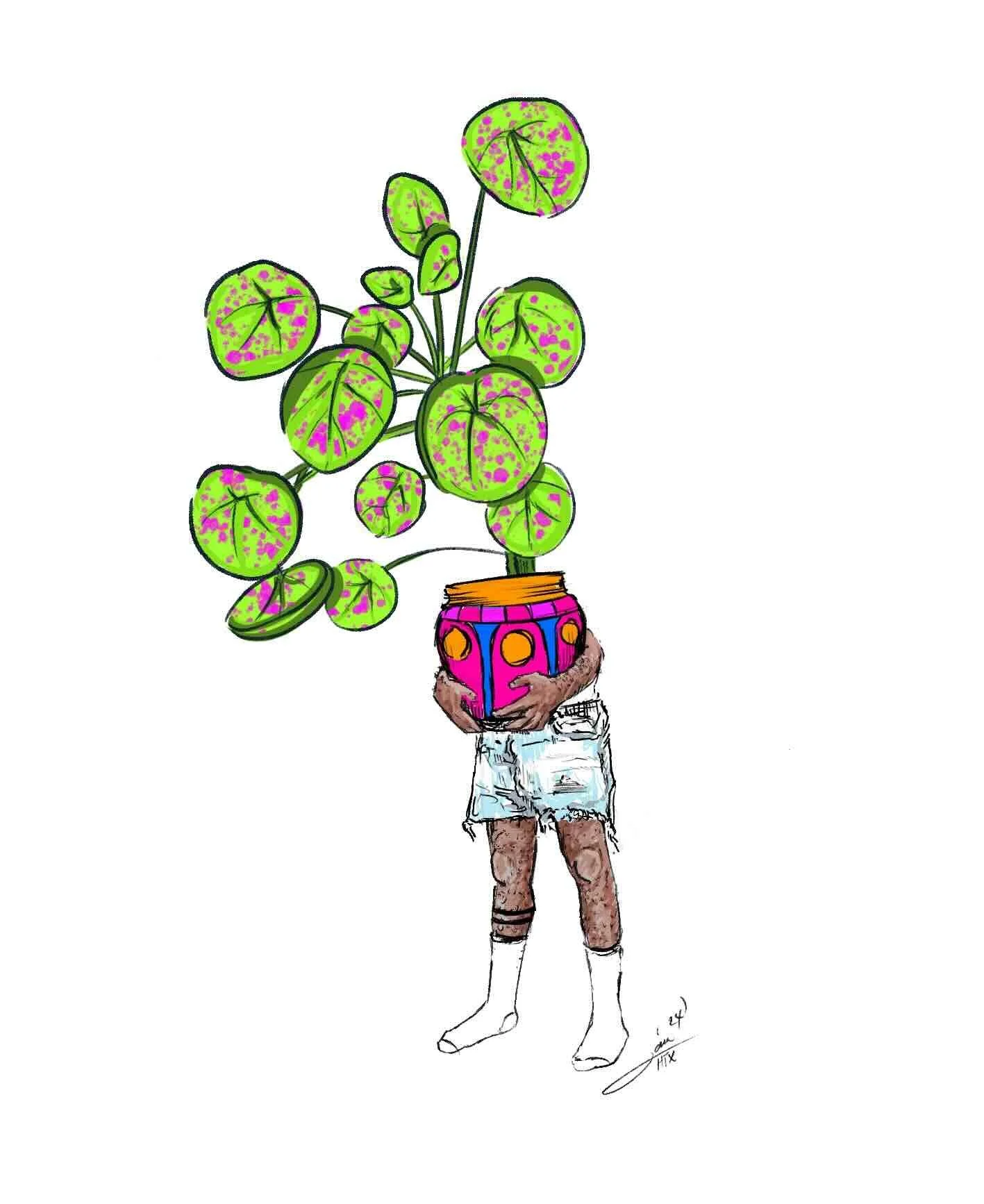 Plant Lover - Coin Plant