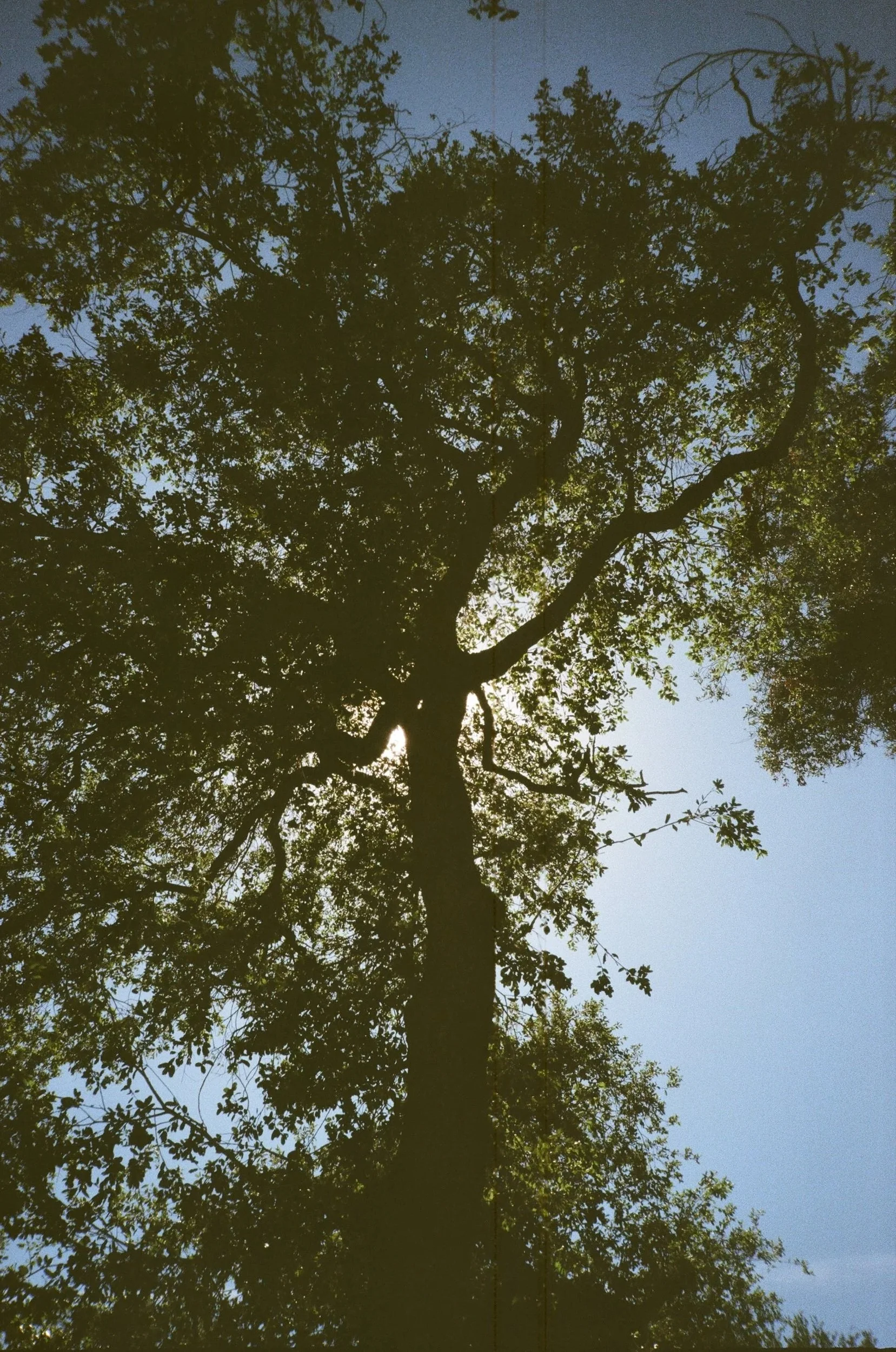 000043770033.jpg