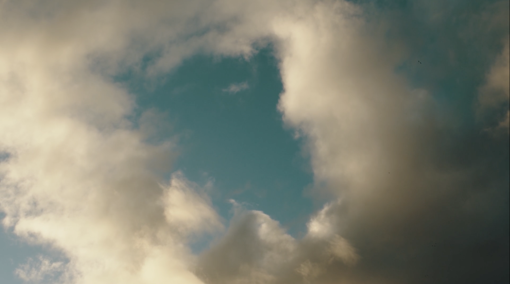 Music Video for Roger and Brian Eno