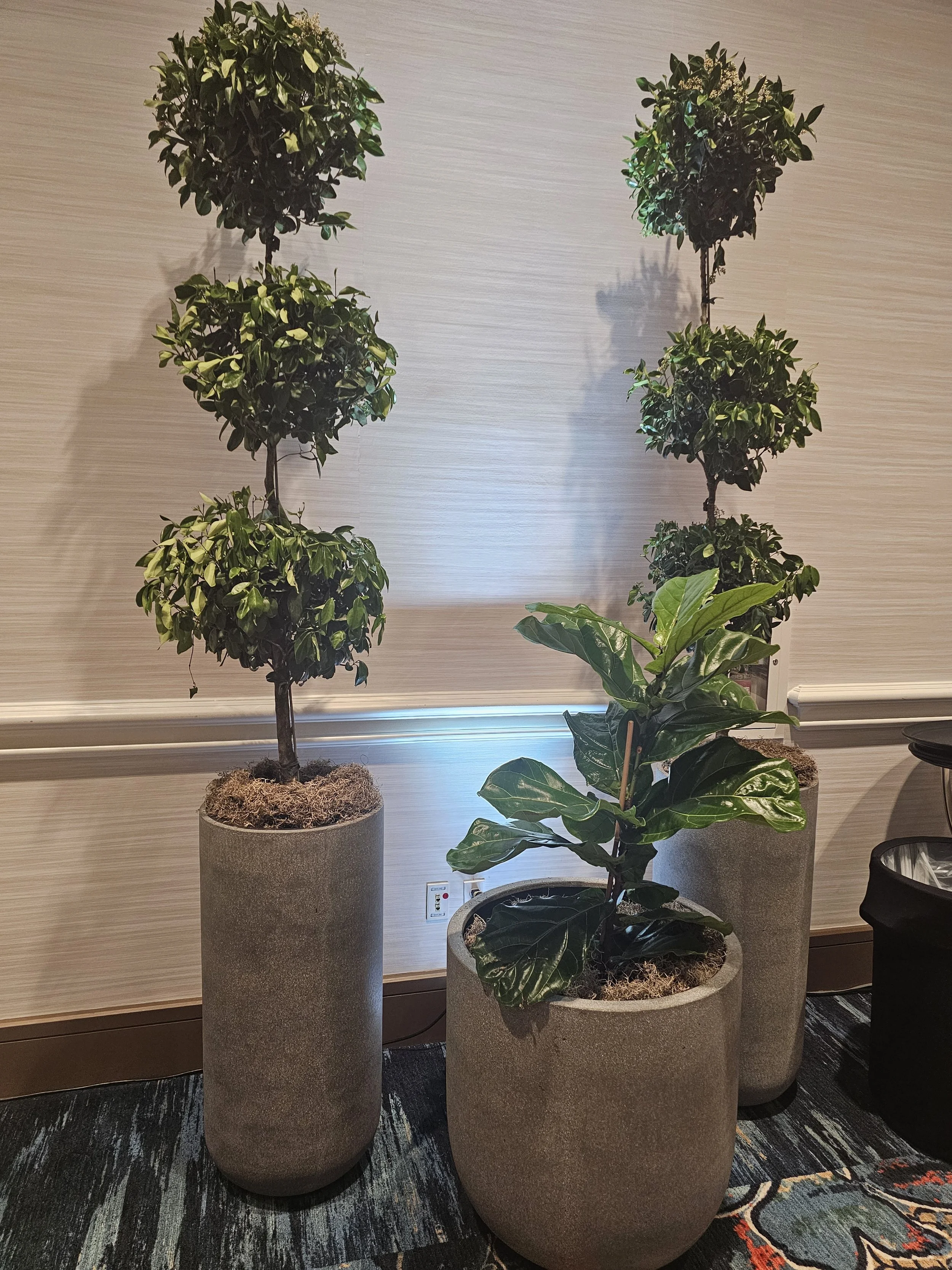 Upscale Brands Lounge 
