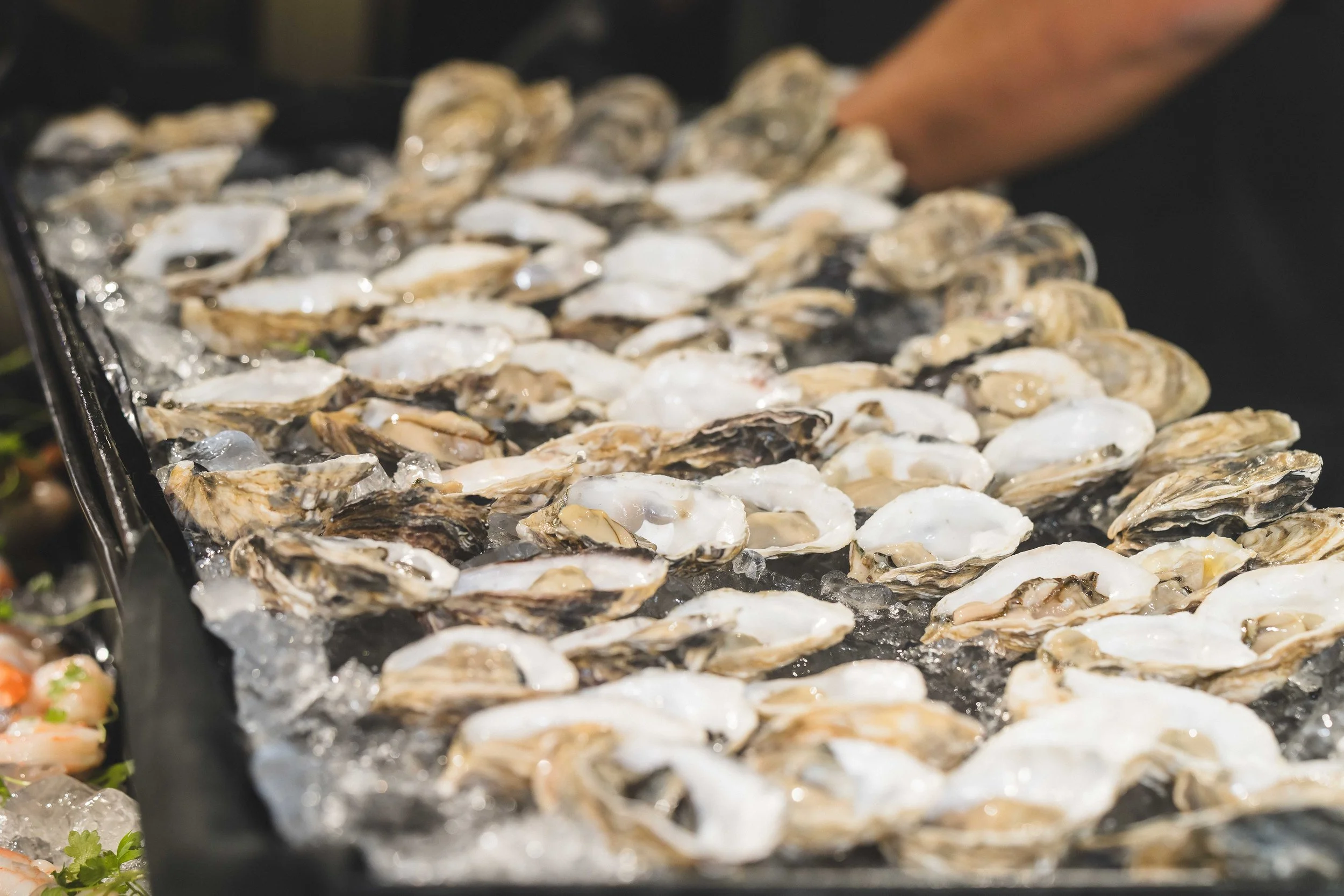 MMA Risk  Resiliency Symposium-1628 (1).jpg