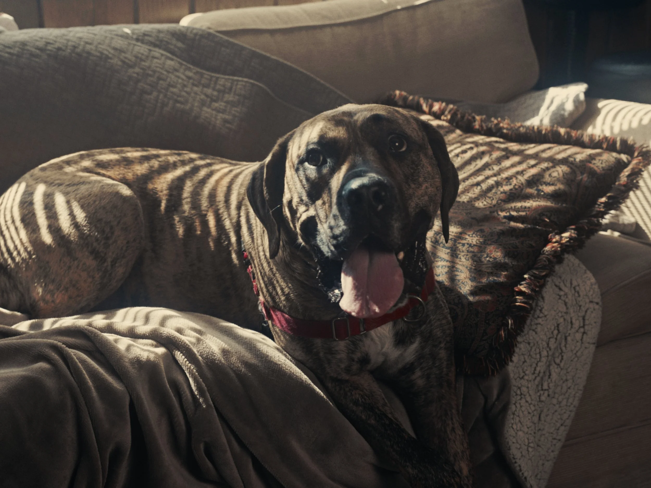 Couch.jpg