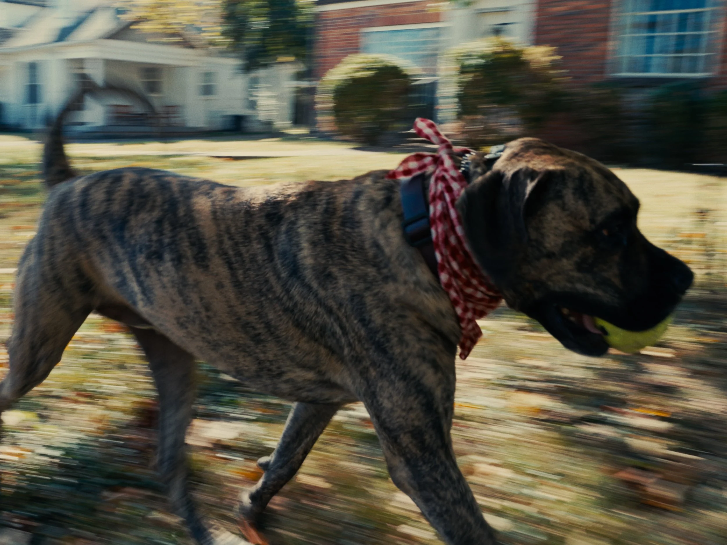 Run #2.jpg