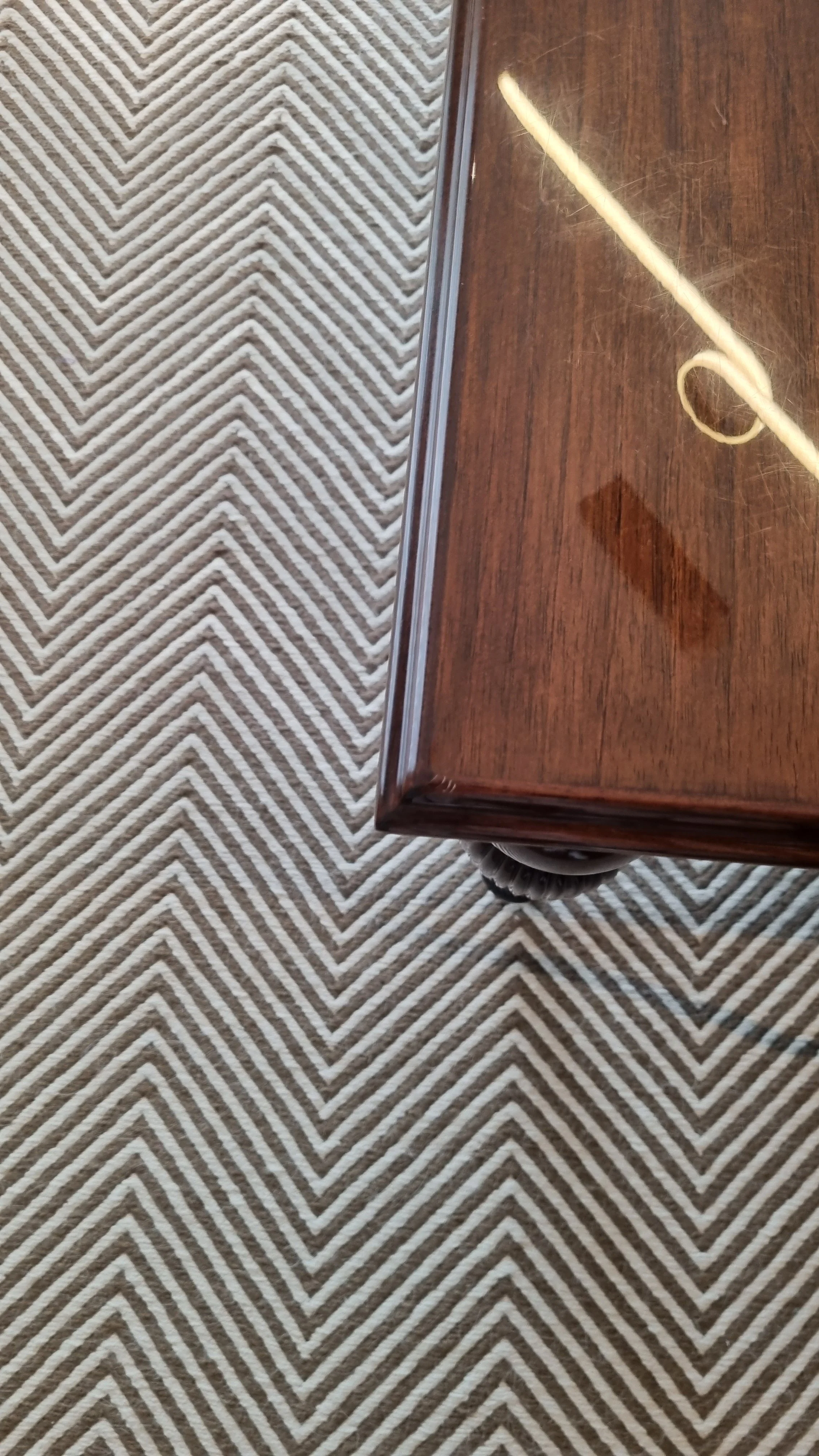 20230811_135905.jpg