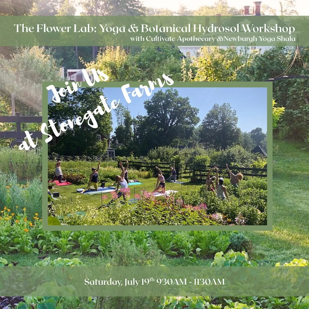 THE FLOWER LAB: Saturday, July 19th, 930-1130AM 

Join us once again this summer @stonegatefarmny for a one-hour grounding yoga practice designed to soothe the nervous system. Following class @cultivateapothecary will guide you through a  a hands-on 