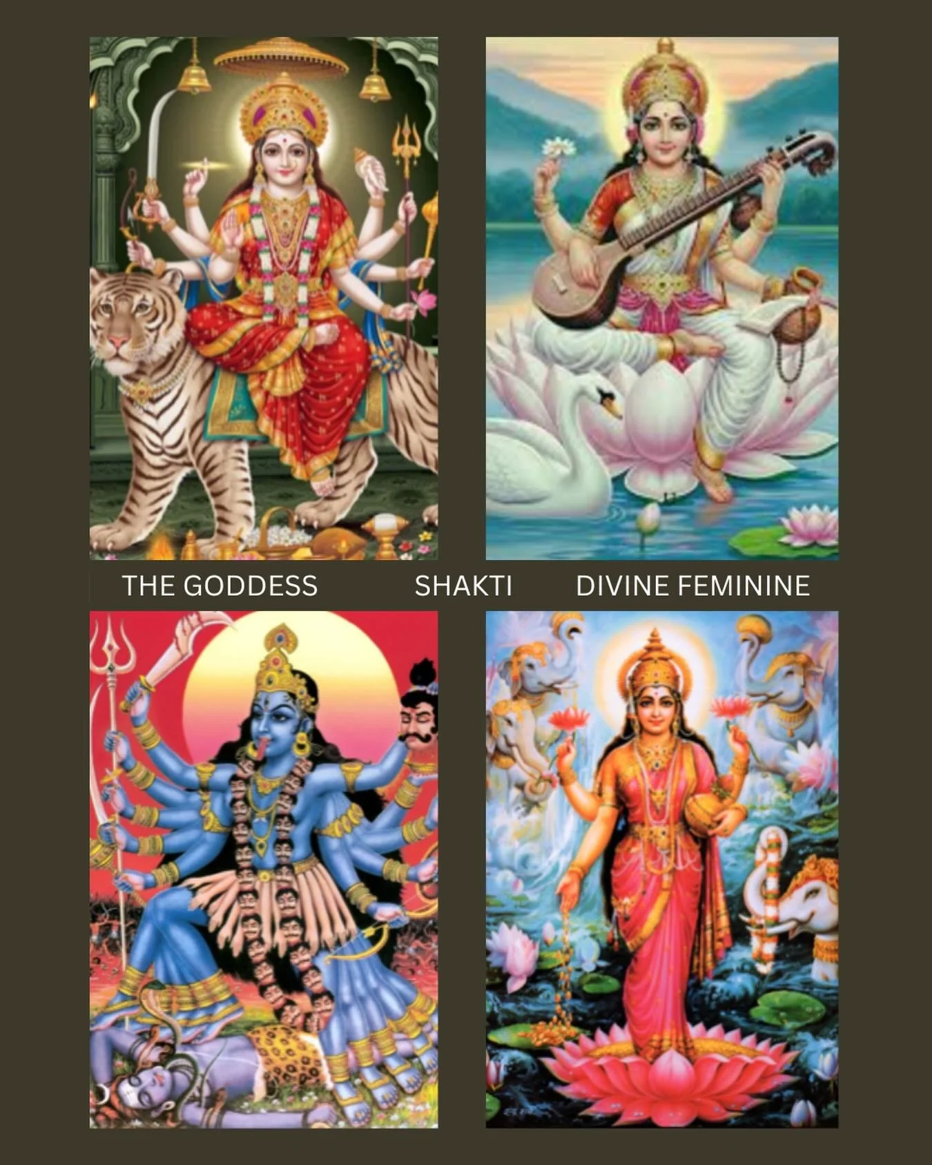 WISDOM. COURAGE. GRACE. LIBERATION.

Shakti is the very powerful energy, that over the last month of discussion in classes, I&rsquo;ve come to learn CONTAINS ALL THINGS. It is the energy that guides us and supports us. The energy that we invoke for c
