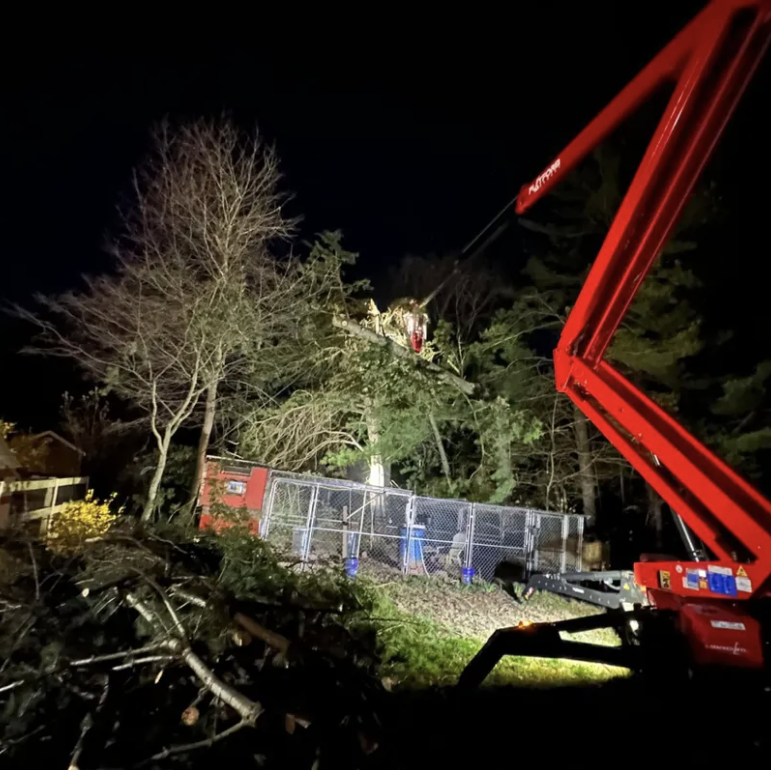 Nighttime scene of a tree being cut down with a crane using a bucket, surrounded by a chain-link fence and equipment.